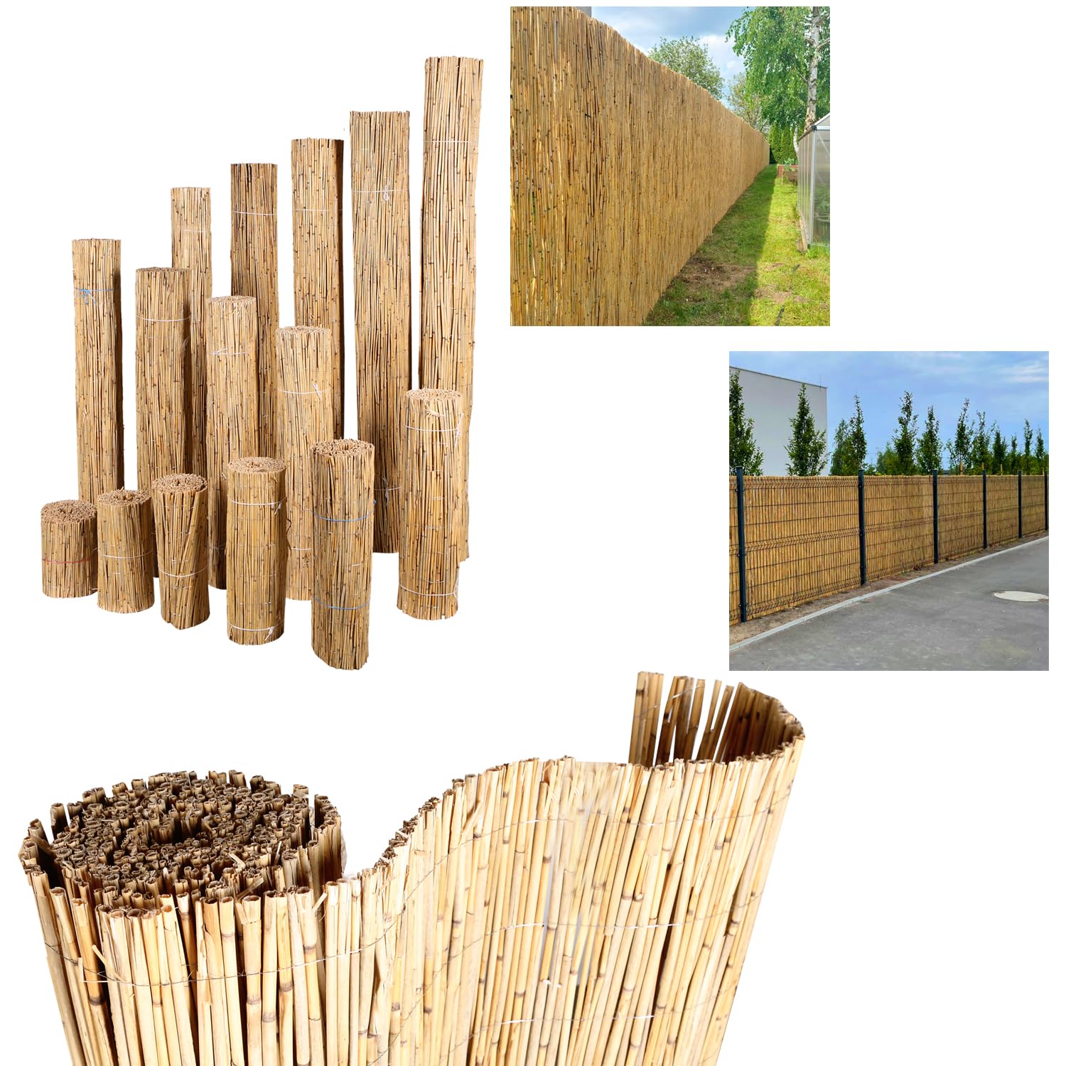H4L Schilfmatte Sichtschutzmatte Schilfrohrmatte Natur Sichtschutz Windschutz Schilf 600x80cm