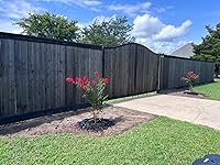 Review Image by Marisol Lopez Marisol Lopez