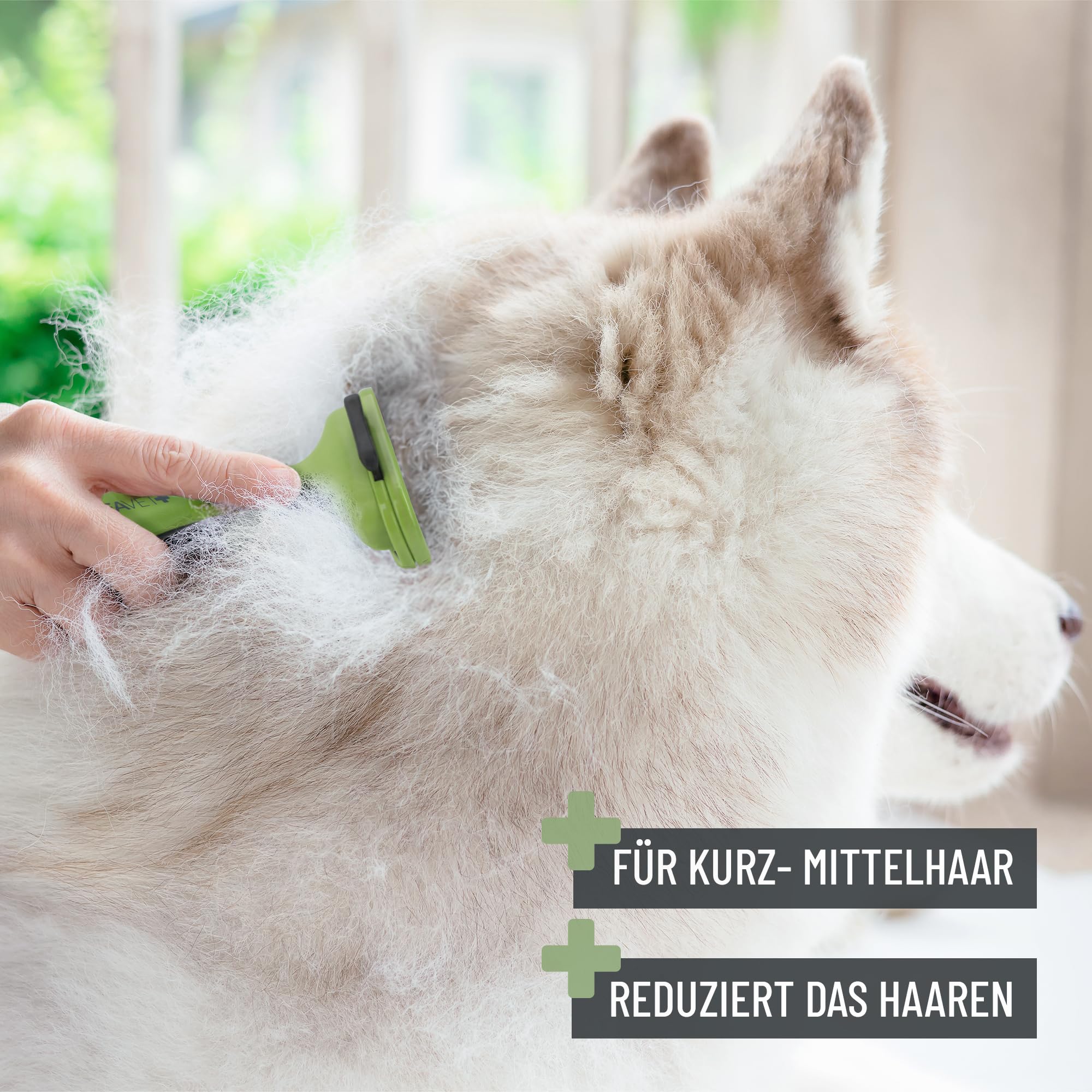 ReaVET Peine de lana para perros y gatos de pelo corto, razas pequeñas, elimina la capa interior, cuida el pelo de la cubierta, con botón de autolimpieza, peine para gatos, peine para perros, ideal