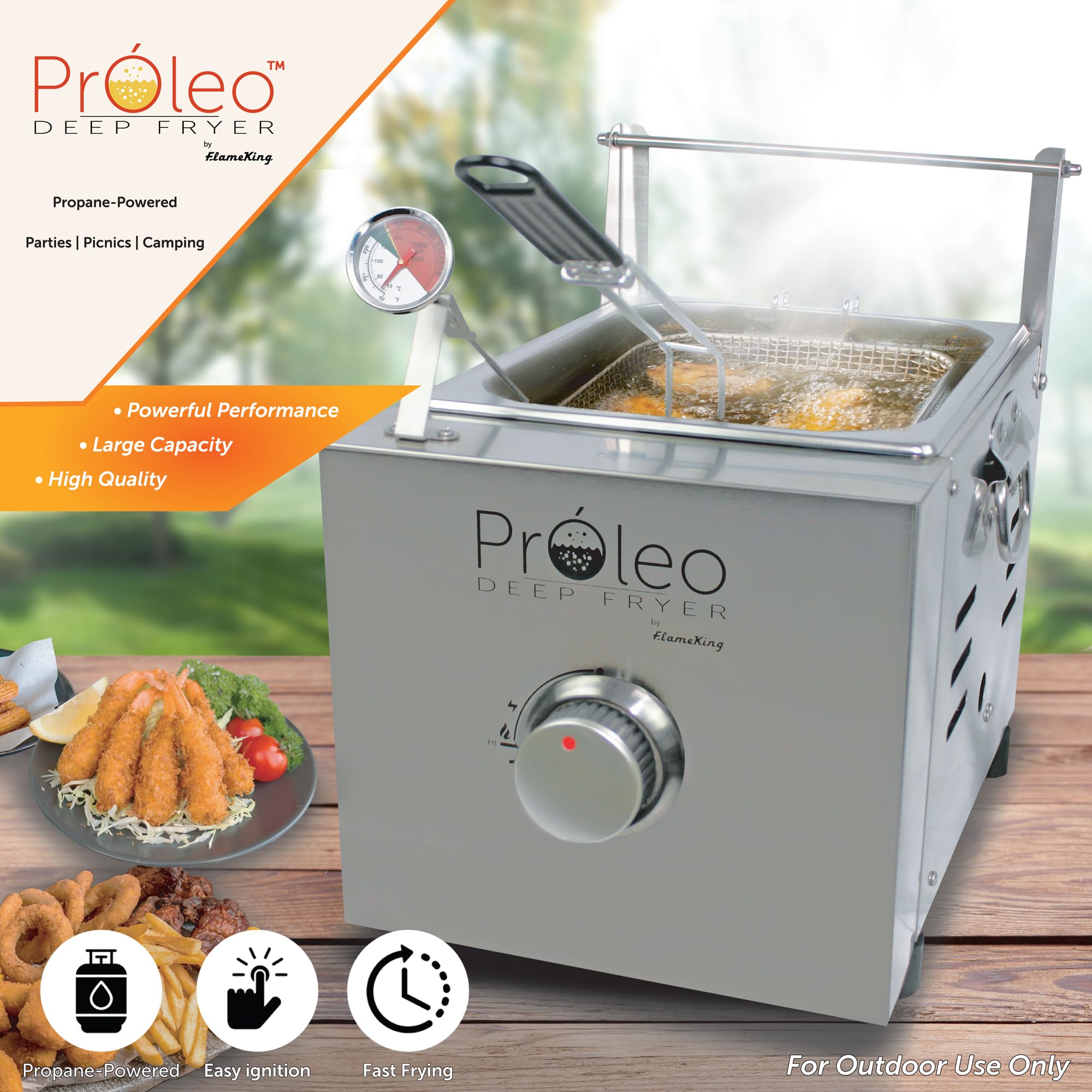 Flame King Proleo Tabletop Propane Deep Fryer with Oil Thermometer, 2.5 Gallons Capacity, with 5-FT Propane Regulator Hose
