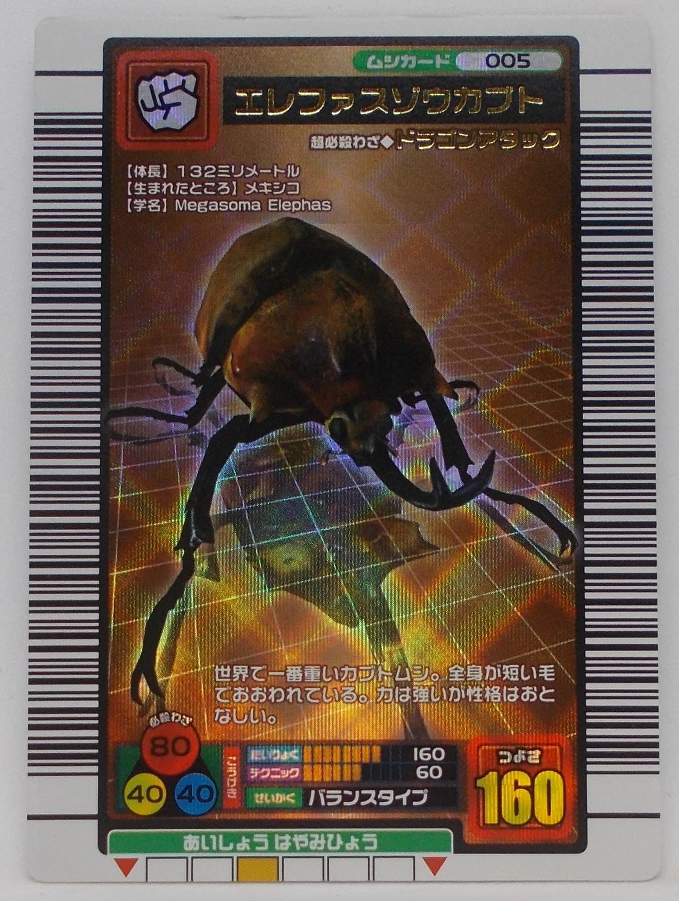 Amazon.co.jp: 【005-2004ファースト拡張】エレファスゾウカブト／甲虫