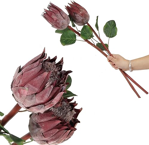 cn-Knight 4 capullos artificiales de prota brote de flores artificiales de proté sintético de 26 pulgadas brote de protea de seda para decoración