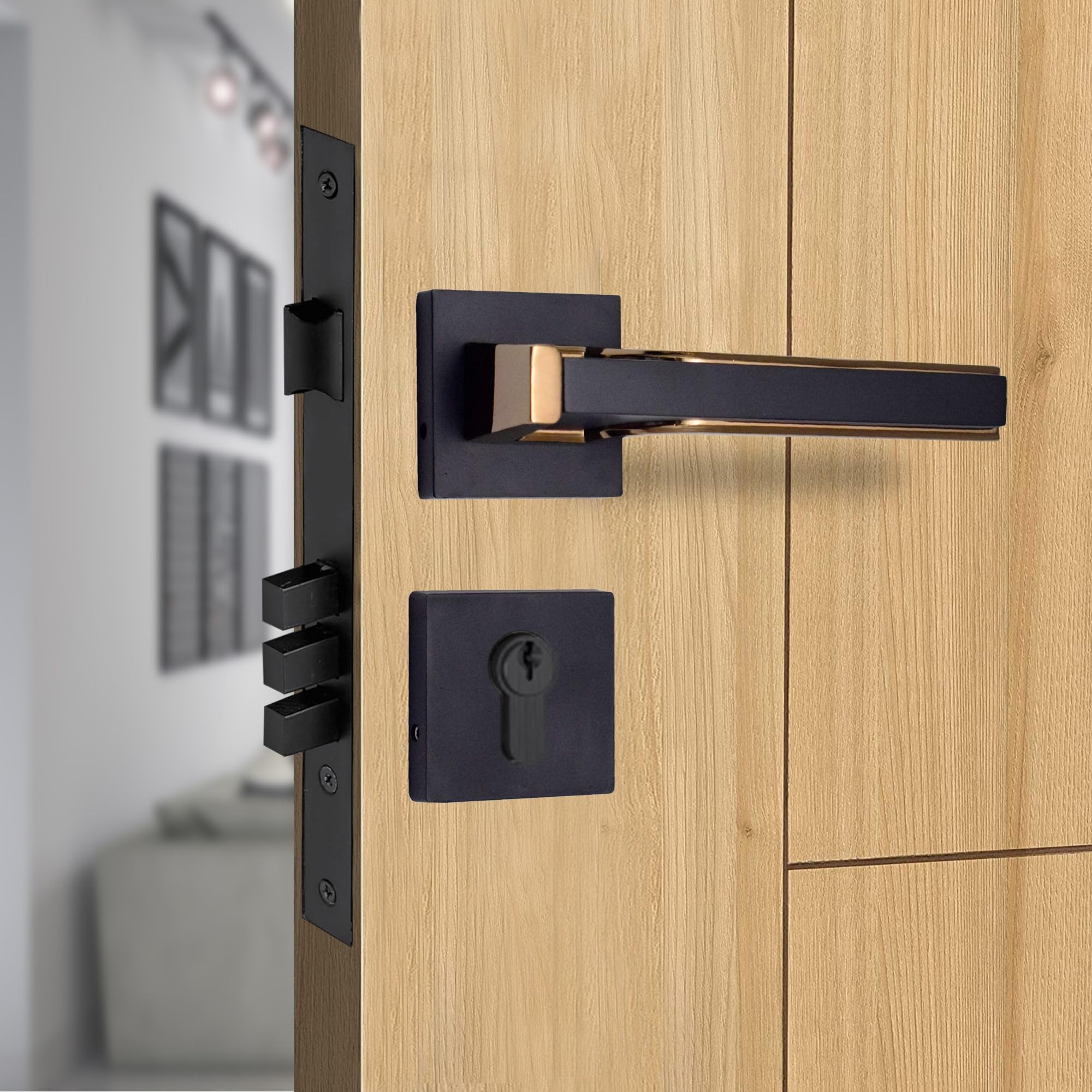 RAB Mortise Lock Handle for Main Doors, Bedroom, Living Room, Complete Set (Code- Rose 1059, Finish- Black, Pack of 1 Mortise Set, Without Lock)