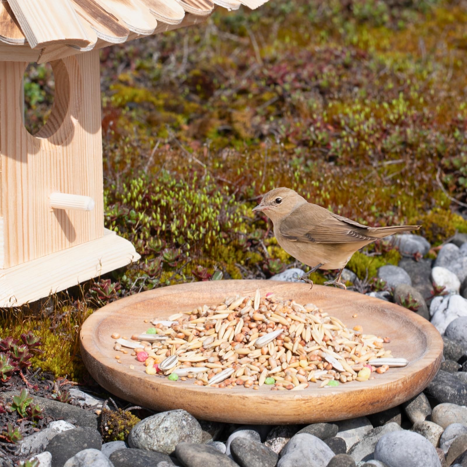 Lyra Pet® 25 kg Streufutter für Wildvögel Vogelfutter Mischung Mischfutter | Wildvogelfutter ganzjährig - Aus Getreide & Samen - Ideal für Vogelhäuser & Futterspender - Abwechslungsreich & fetthaltig