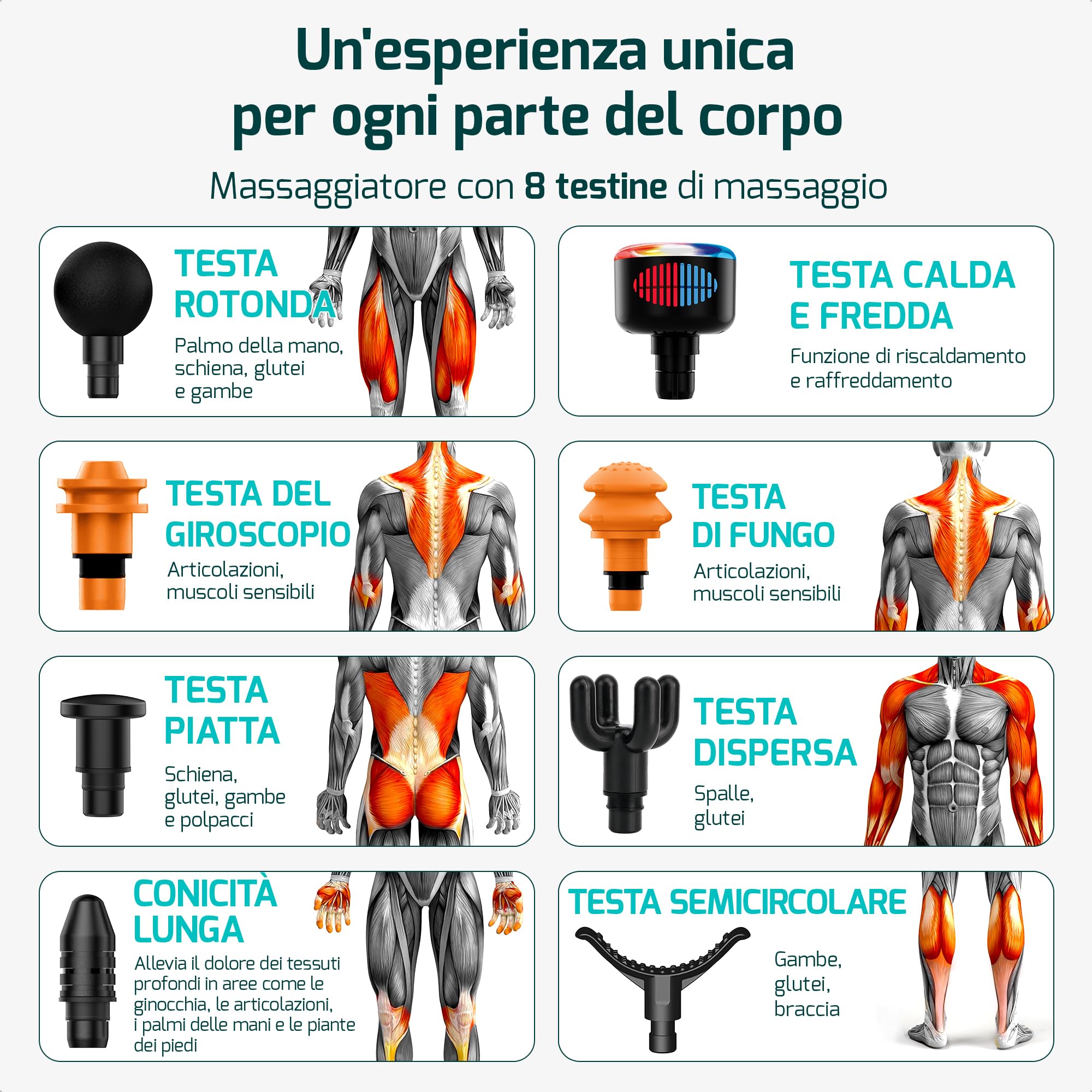 FITAGE Pistola Massaggio Muscolare, Massaggiatore Silenzioso con 30 Livelli di Velocità Regolabili Pistola Massaggiante, 8 Attacchi per Diversi Gruppi Muscolari - Premio