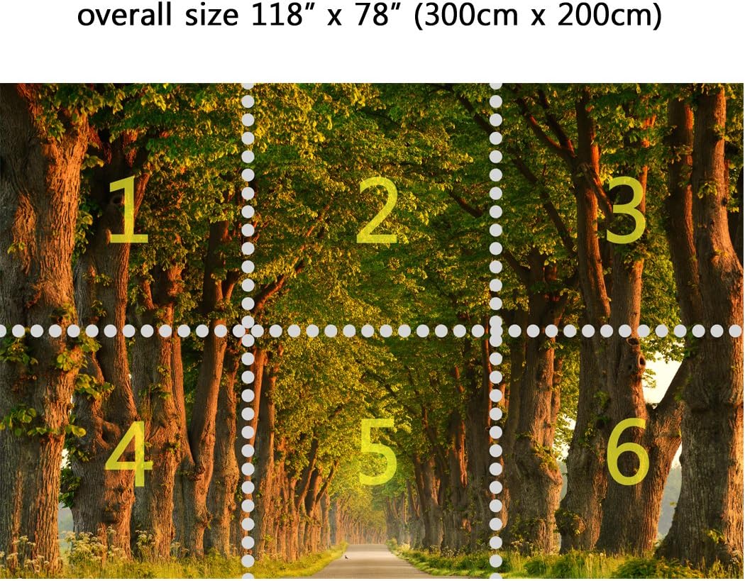 Wall Mural Country Forest Road, Peel and Stick Repositionable Fabric Wallpaper for Interior Home Decor (118"w x 78"h)