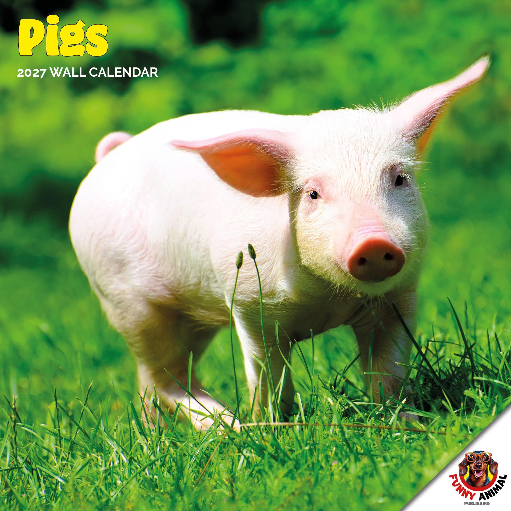 Dayplanner Publishing Pigs Calendar 2027, Large