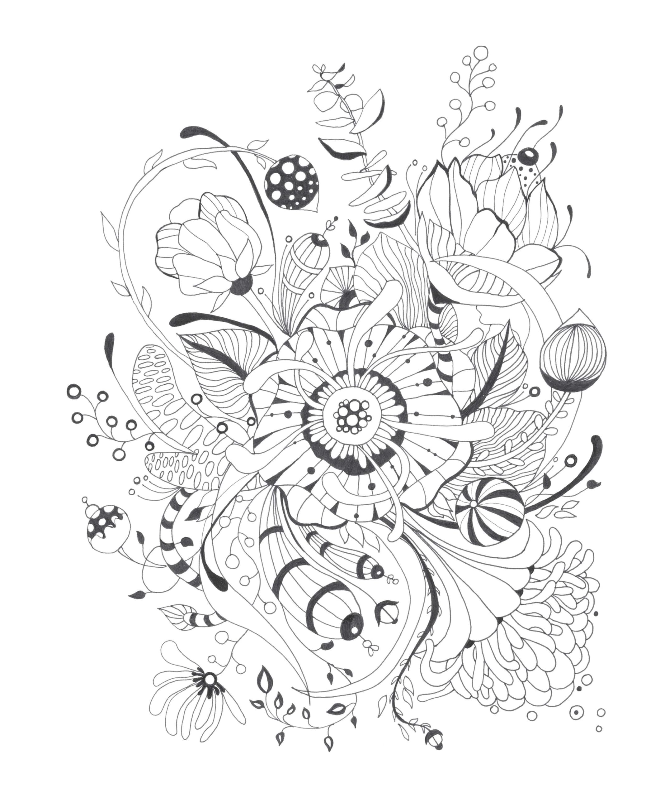 Botanical Wonderland: A Blissful Coloring Retreat (Coloring Wonderland)