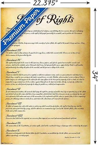 Miniatura 3 de Trends International The United States of America - Póster de pared de Carta de Derechos, 22.375 x 34 pulgadas, versión premium sin marco