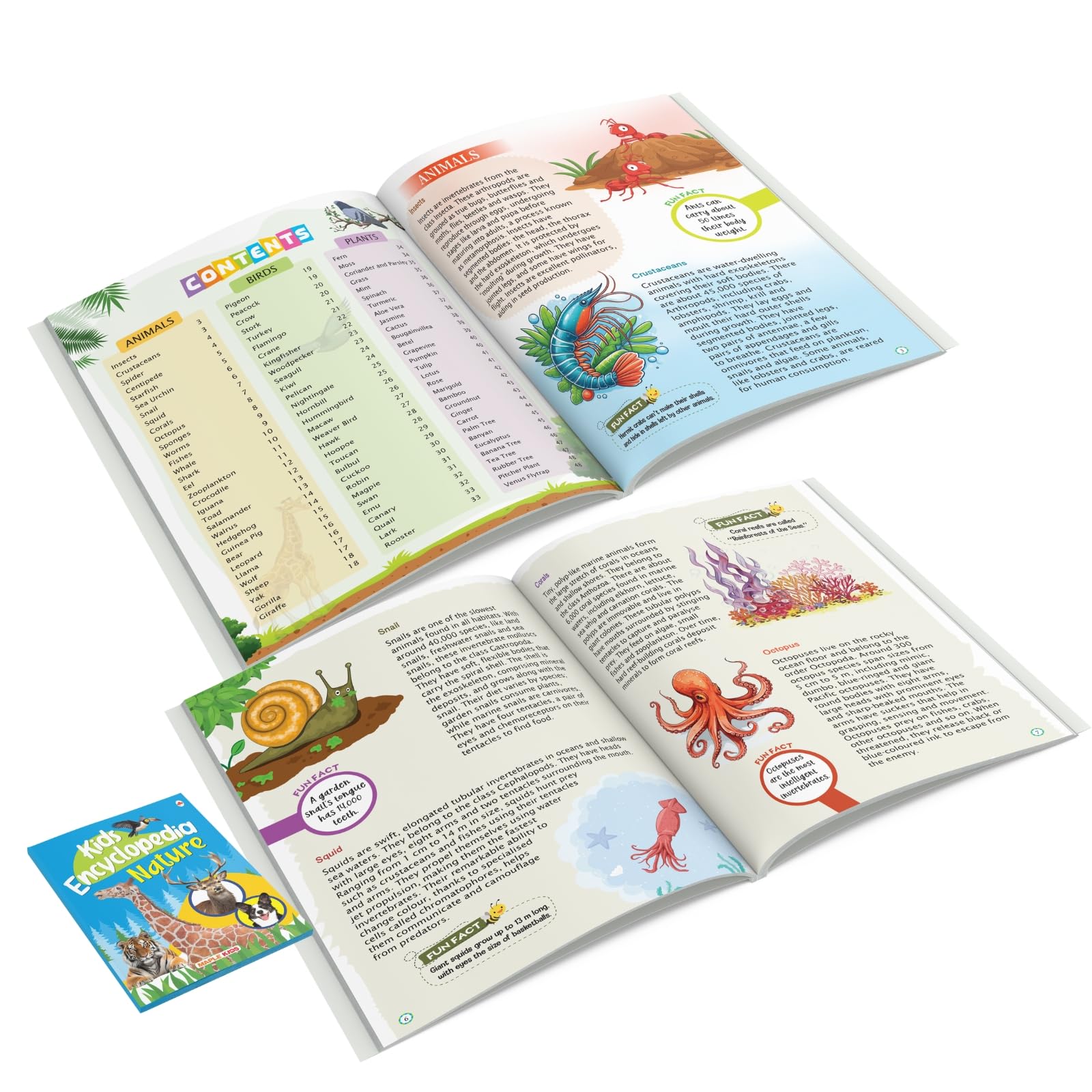 Kids Encyclopedia (Illustrated) - Nature - Knowledge Book for Kids - Age 6+ - Animals, Birds, Plants - Crustaceans - Leopard - Zooplankton - Flamingo - Seagull - Pelican - Tulip - Bamboo - Groundnut 2