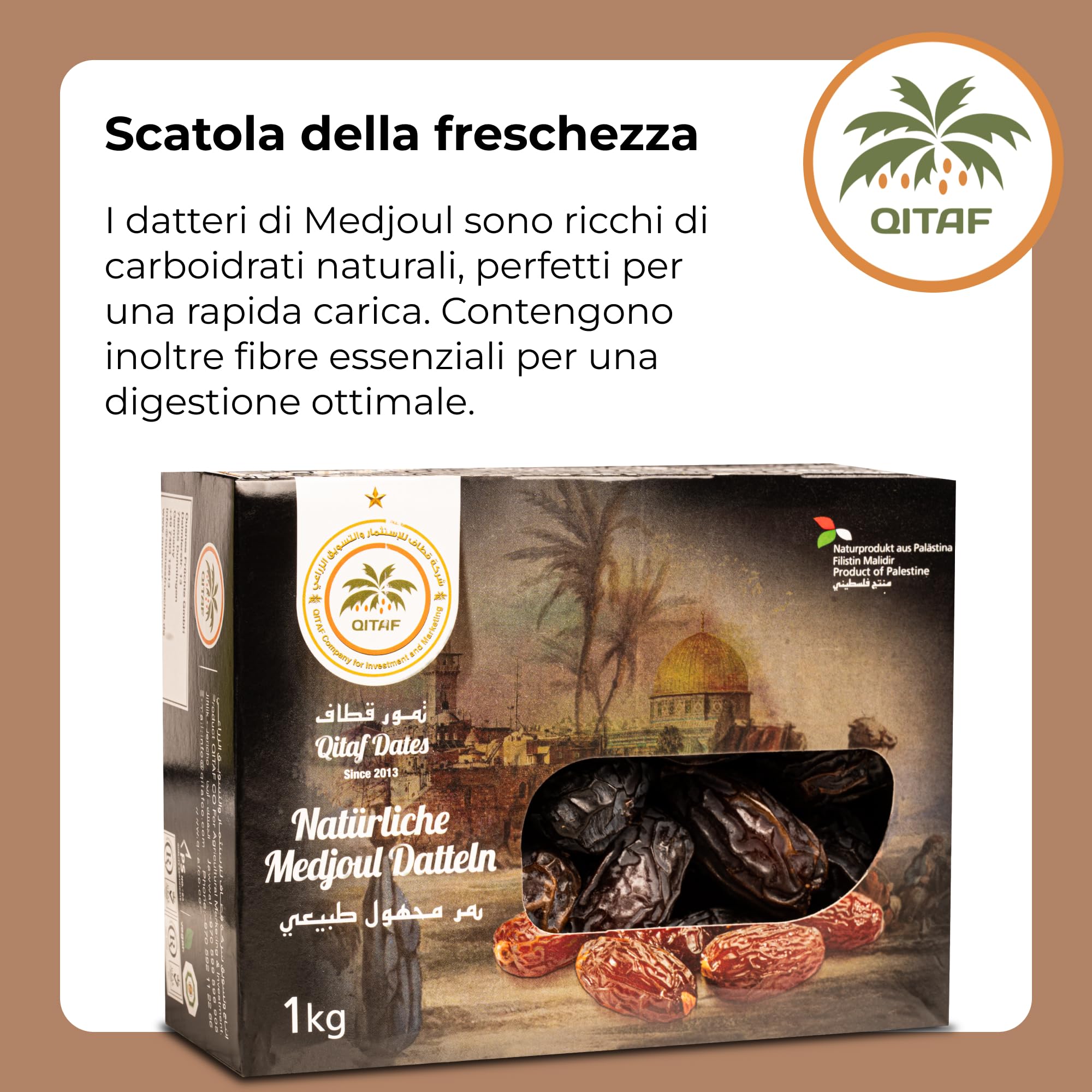 Datteri Medjoul Palestina [1Kg]. 100% Naturali E Dolci Frutta Secca Di Prima Scelta, Grande Calibro, Senza Zuccheri Aggiunti, Sapore Delizioso. Frutti Essiccati Lentamente – Dorimed
