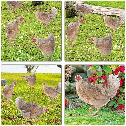 Miniatura 4 de HANABASS Juego de 4 estacas decorativas de acrílico para jardín, estatuas de gallina, decoración de gallina, gallo y animales para patio trasero,