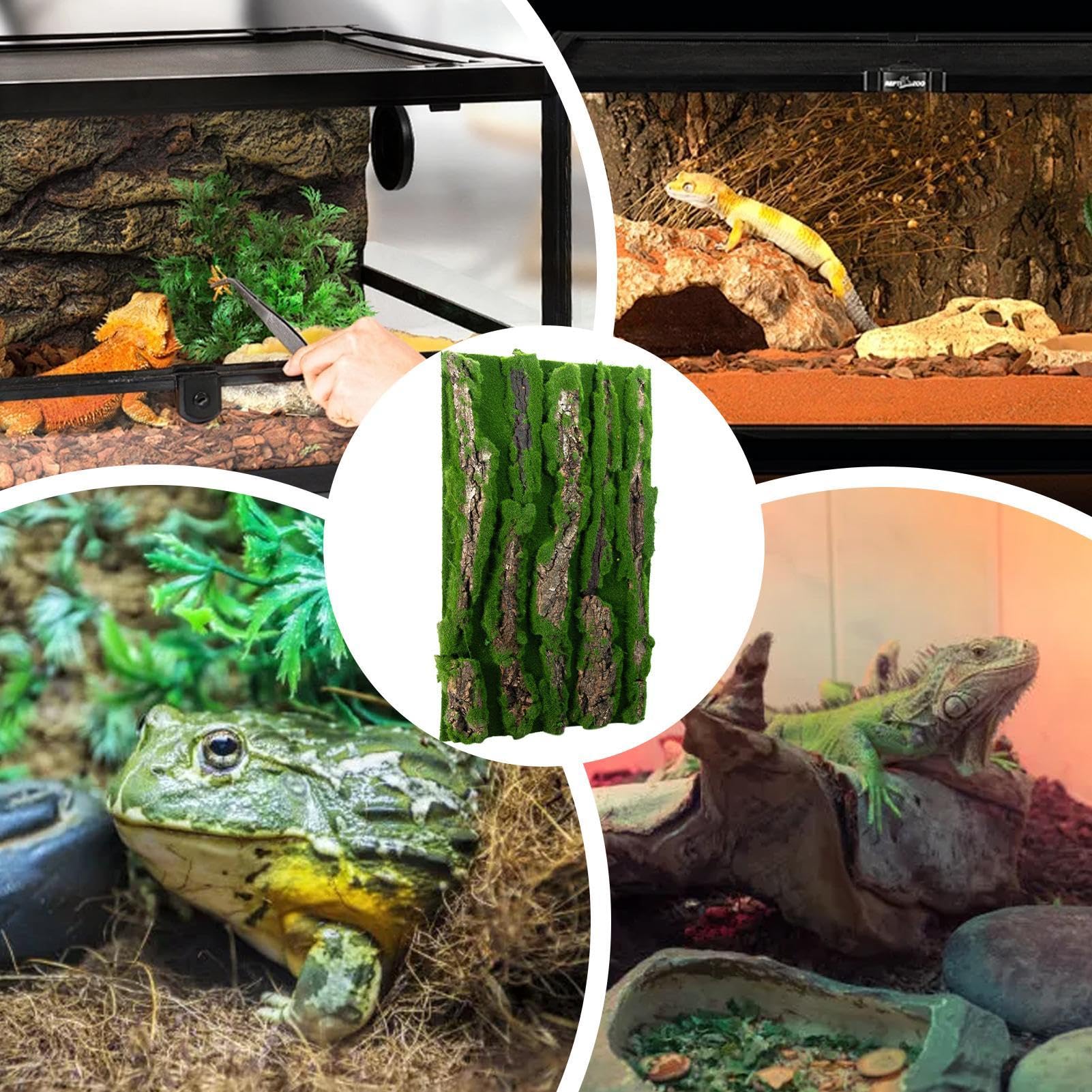 Antecedentes de Corcho para Terrario - Decoración de viviendas de Reptiles | Fondo de Corteza con Espuma Artificial, Accesorio Natural para, Serpiente, camaleón, Gecko, dragón Barbudo y anfibi