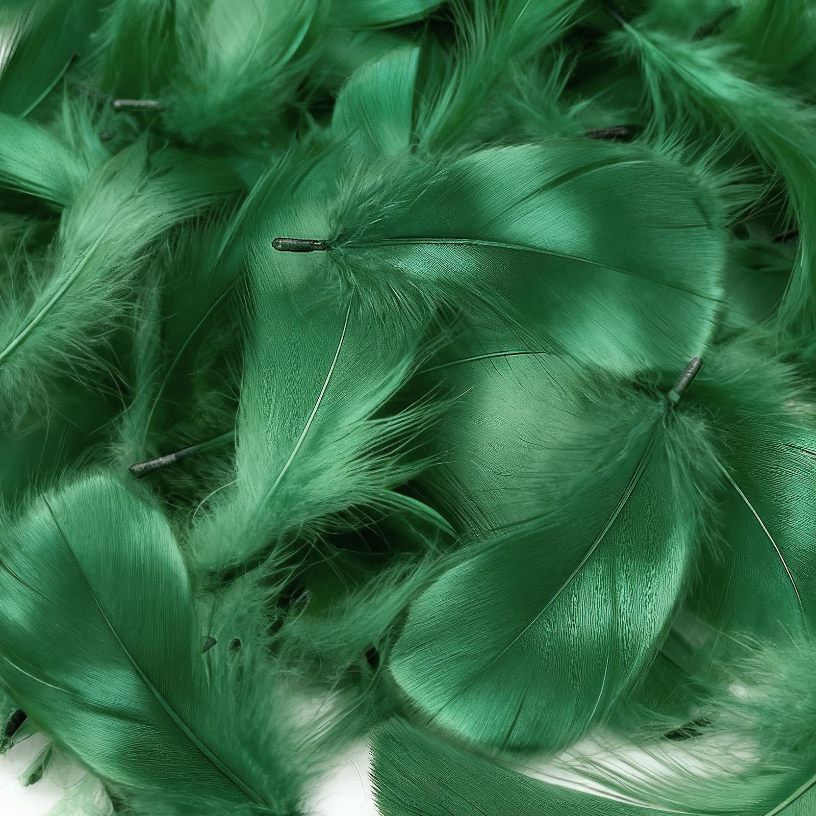 Mbsomnus Feathers for Crafting 600 Pcs Dark Green Feathers Natural Craft Feathers 5-12 cm Feathers for DIY Crafts Dream Catcher Earrings Headdress Feather Flowers Wedding Party Holiday Decoration