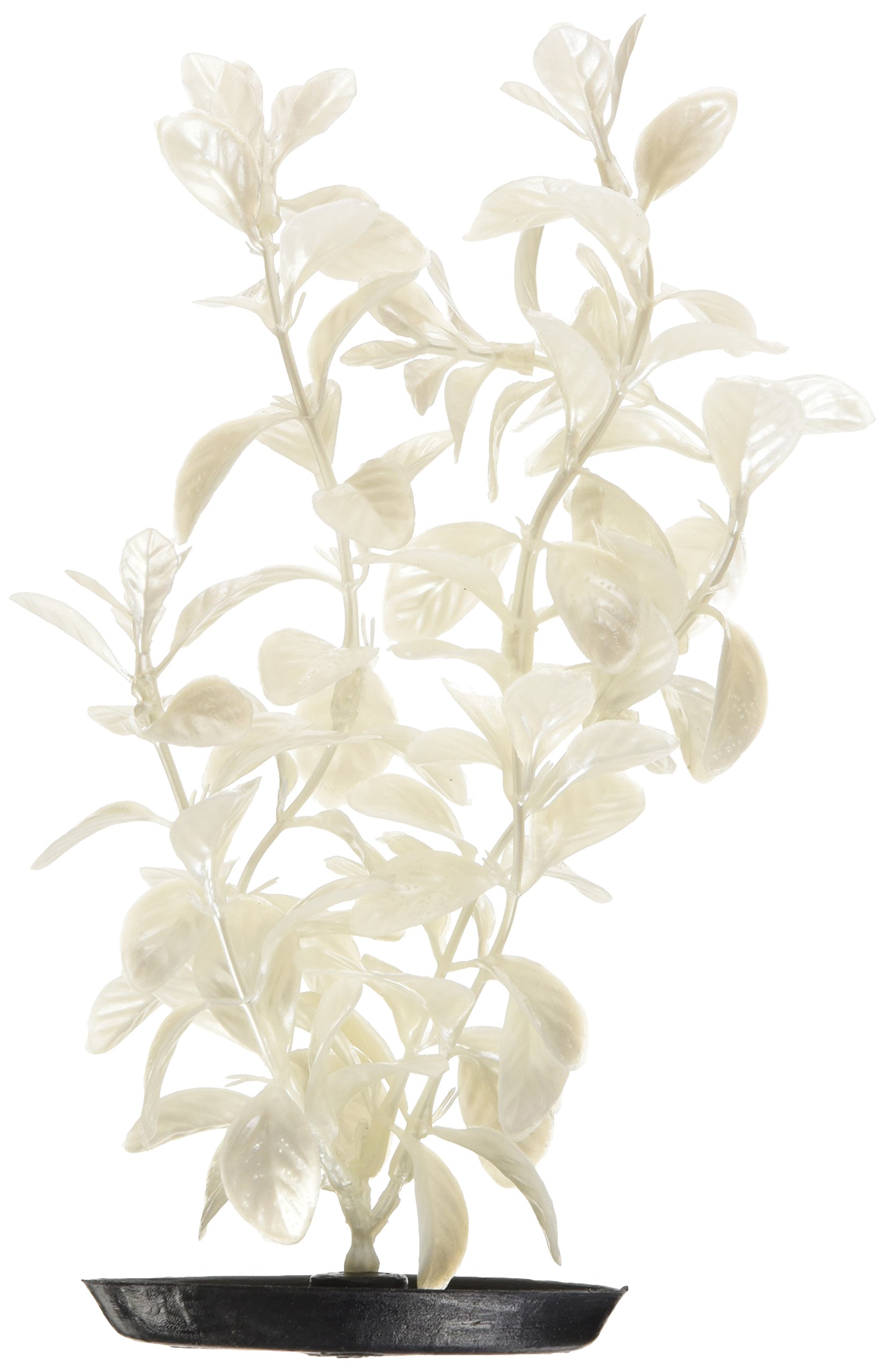 Marina Pearlscaper Red Ludwigia Planta, 20,3 cm, Color Blanco