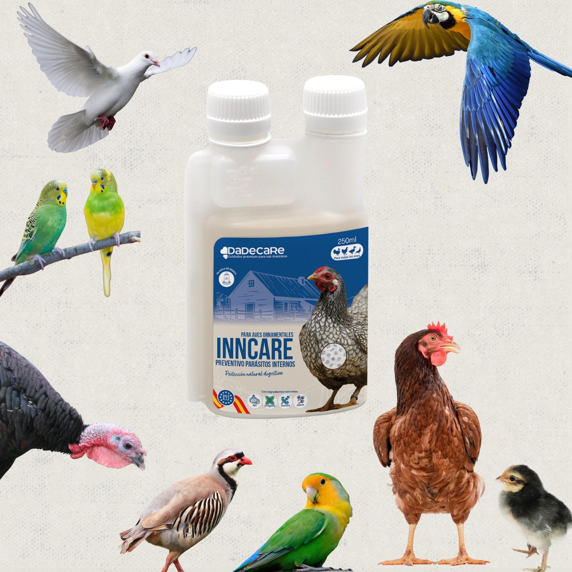 Preventivo Parasitos Internos Natural 250 ml - Gallinas, Aves de Corral y Exóticas - Previene y Trata Problemas digestivos - Fórmula Natural - Extracto de Ajo y Oregano - Inncare