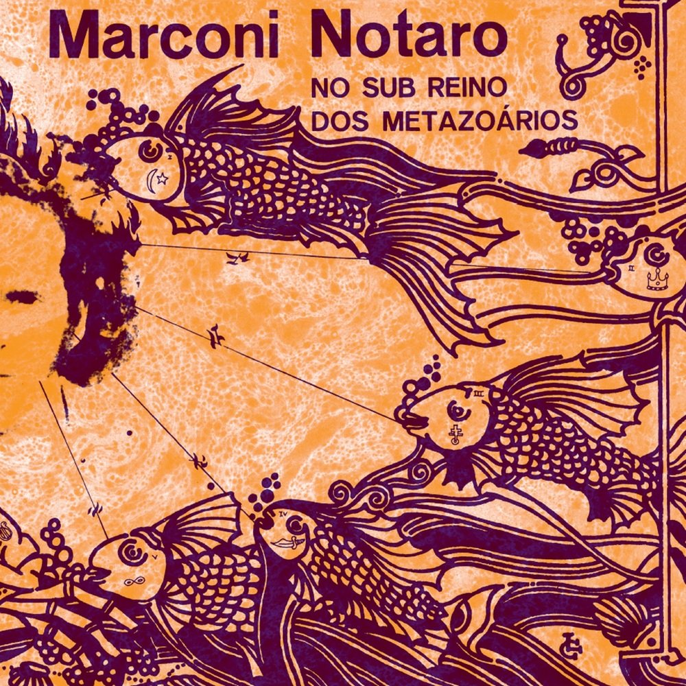 No Sub Reino Dos Metazoarios