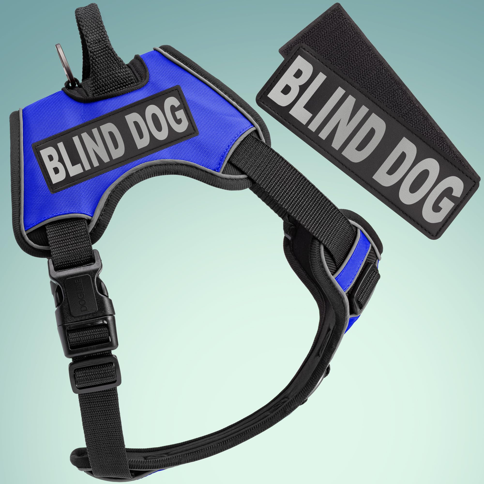 Dogline Quest - Pettorina per cani anti-tiro, con cerotti riflettenti e rimovibili, riflettenti, morbida, confortevole, con doppia fibbia, con ferramenta nera e manico da 32 a 101,6 cm, blu
