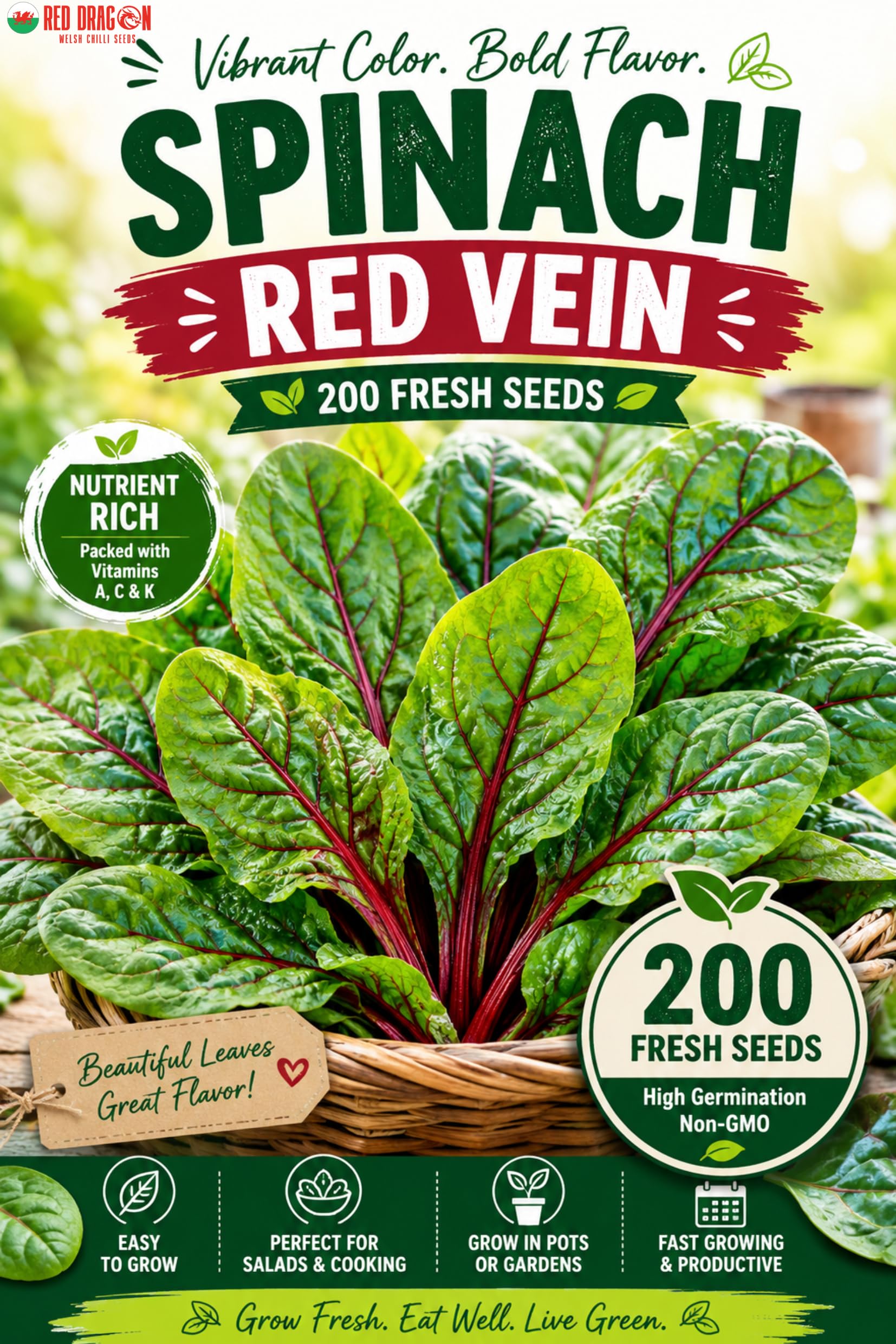 Spinach Red Vein Seeds – Colourful Red Stem Leaf Spinach – Fast Growing Gourmet Salad Leaves – Easy to Grow Vegetable Seeds UK