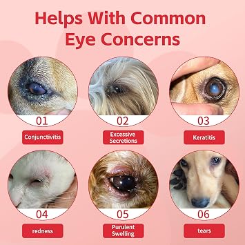 Cataract Eye Drops for Dogs Improve Vision Clarity & Comfort, Preservative-Free, Natural Formula, 1.69 fl oz (50 mL) for Dogs and Cats