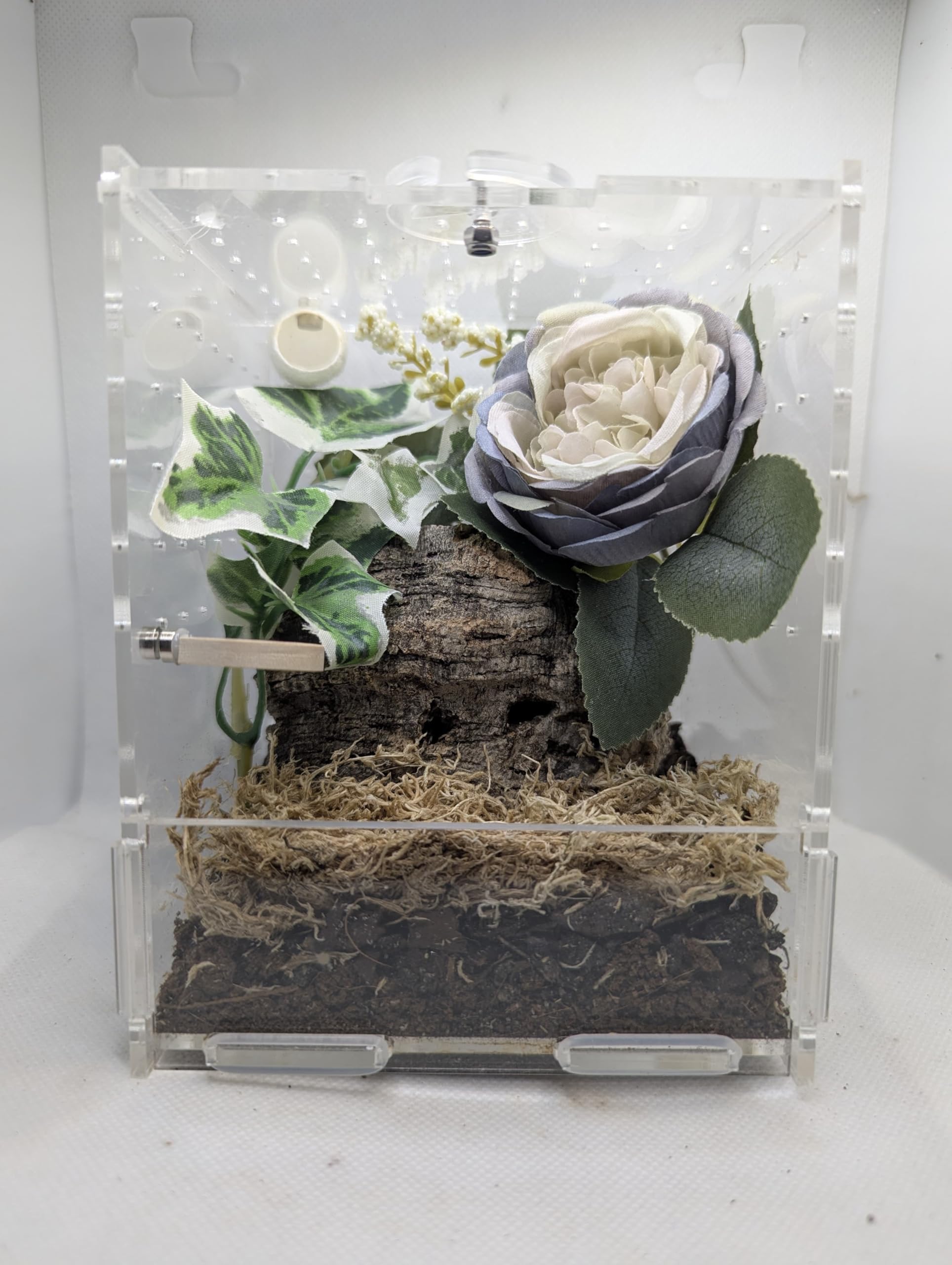 Jumping Spider Enclosure Full Setup with Decor included! Suitable for slings, pet spider, front opening, very secure 10cm X 12cm X 15cm Kit Blue White Flower