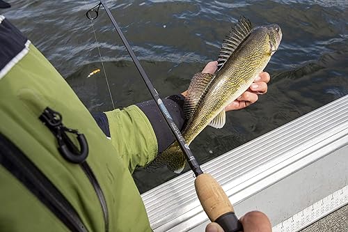 Miniatura 5 de St. Croix Rods Caña giratoria AVID