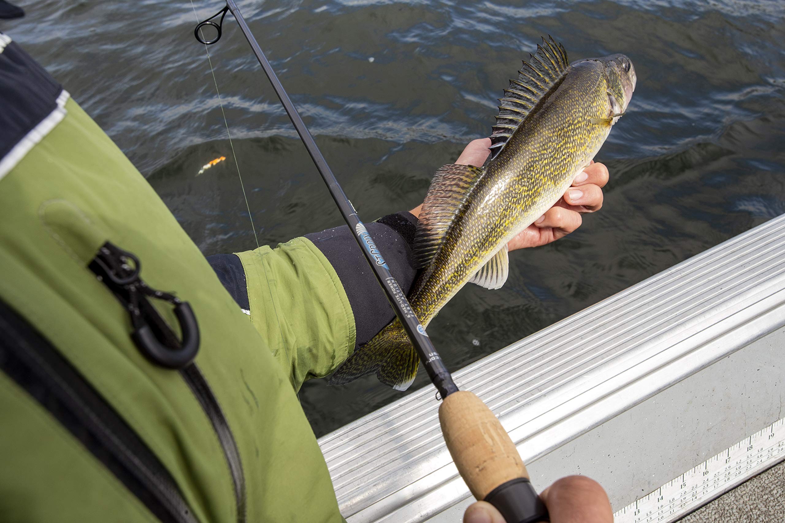 St Croix Avid Spinning Rods Desertcart Cyprus