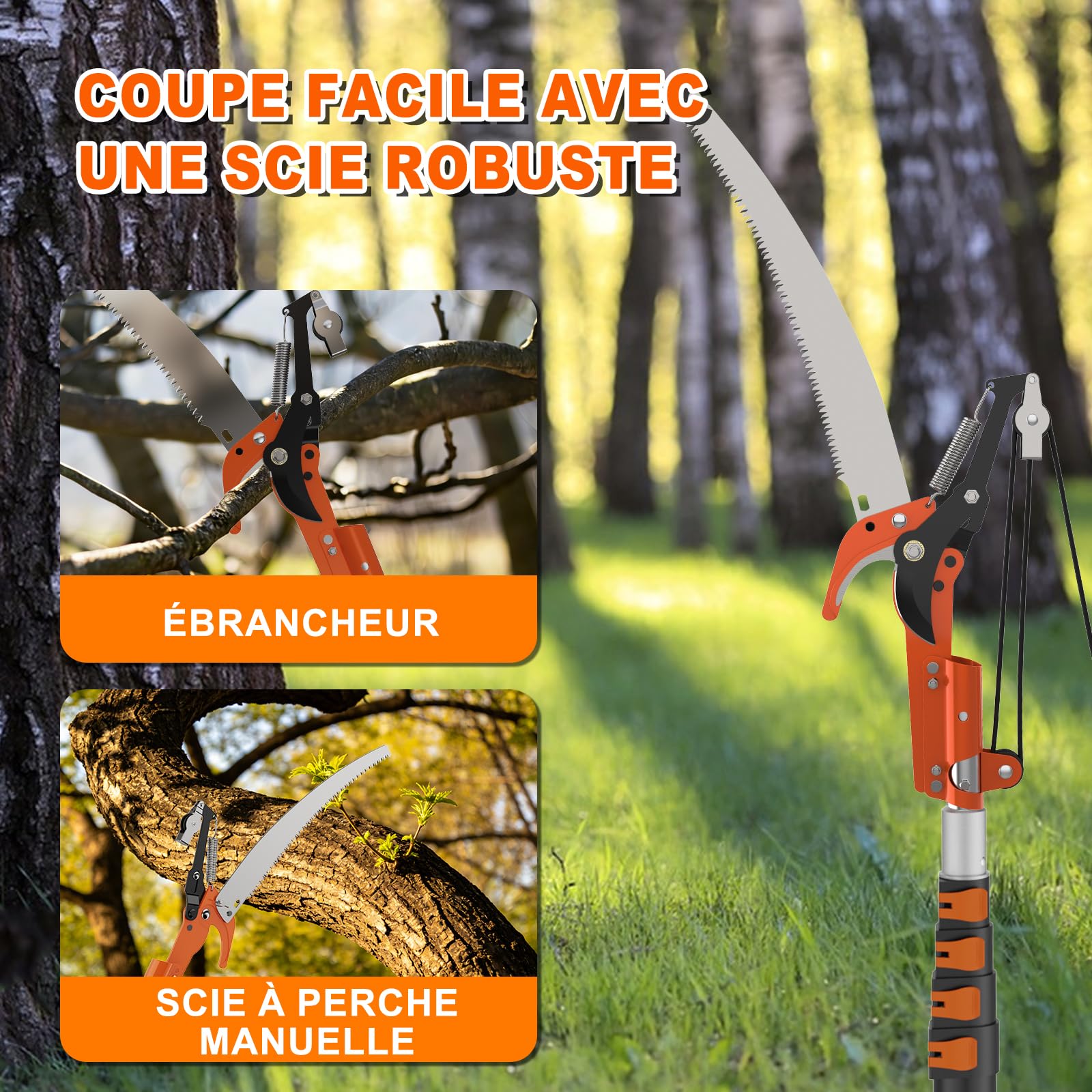 SISUPASSIE Scie à Perche Télescopique 6m avec Hampe Extensible de 1,5 à 6m, Ébrancheur Manuel pour Jardin, Cour et Terrasse