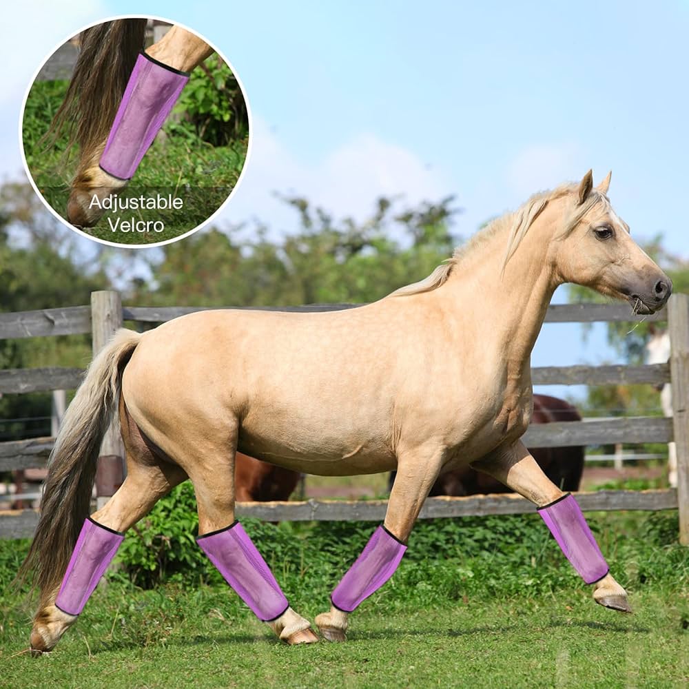 horse boots purple fly boots