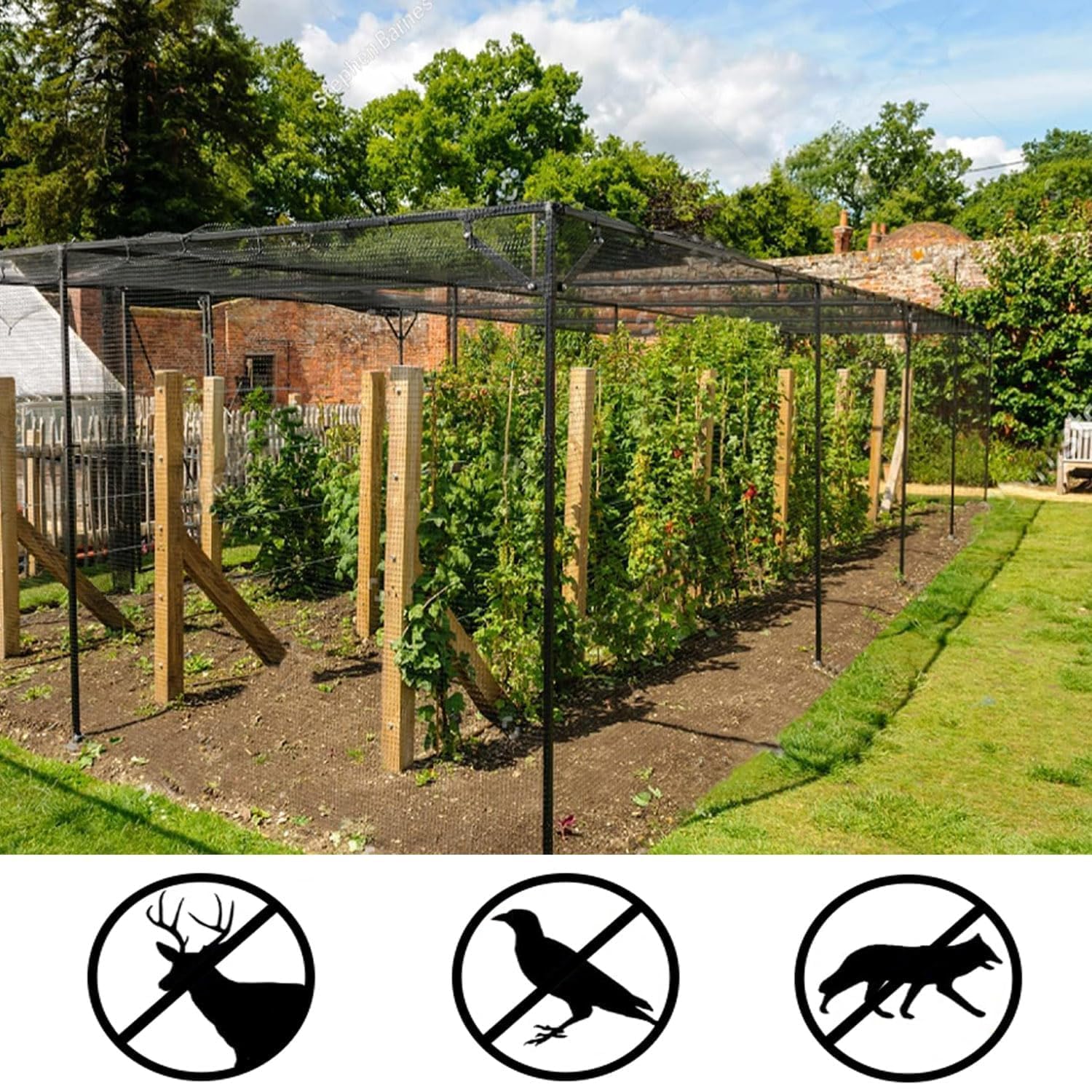 Ricofot Hail Net, 7.5 x 15 m Hail Netting for Garden Nylon Anti Pigeon Net, Reusable Anti Bird Net - Image 3