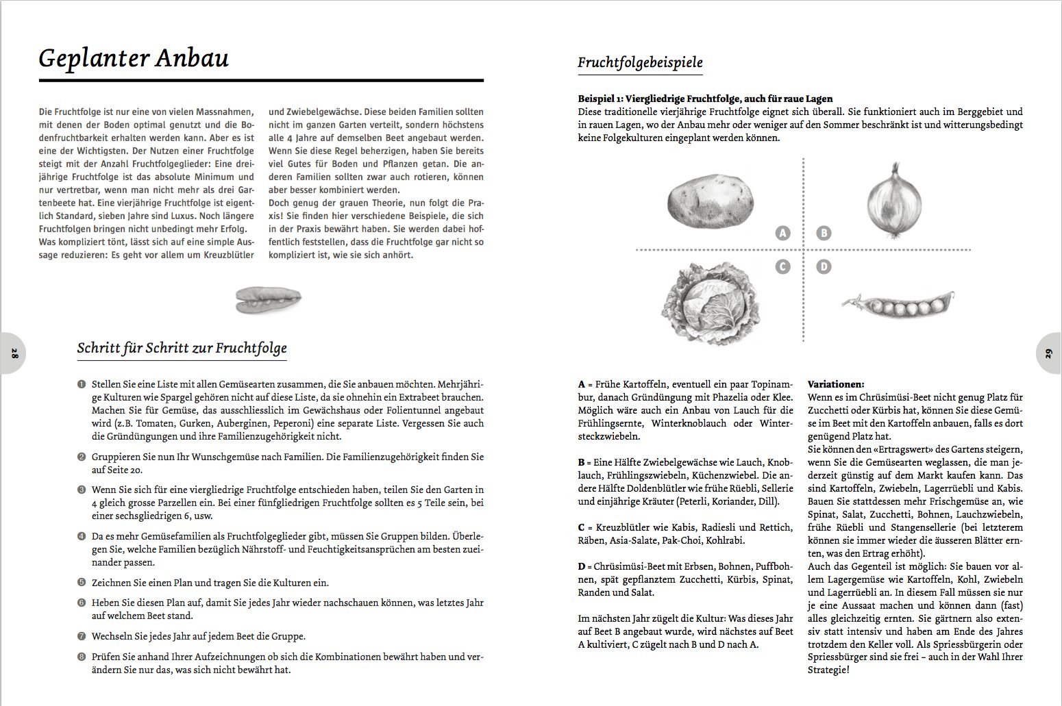 Spriessbürger: Handbuch für den Anbau von Gemüse und Salat in der Schweiz