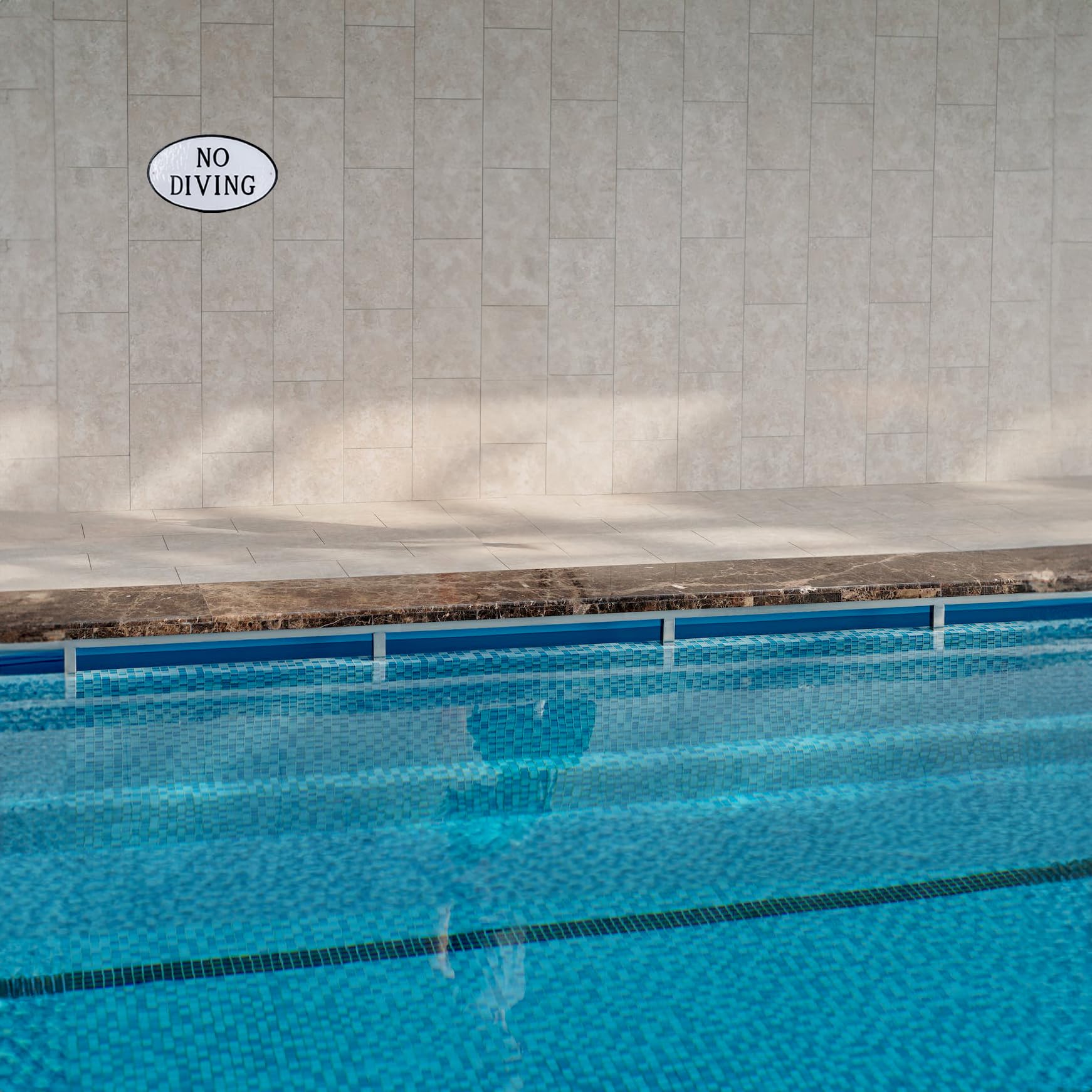 Montague Metal Products - No Diving Oval Statement Plaque Sign - Pool Sign - Pool Warning Sign - WALL or LAWN Pool No Diving Sign - Cast Aluminum - Easy to Install