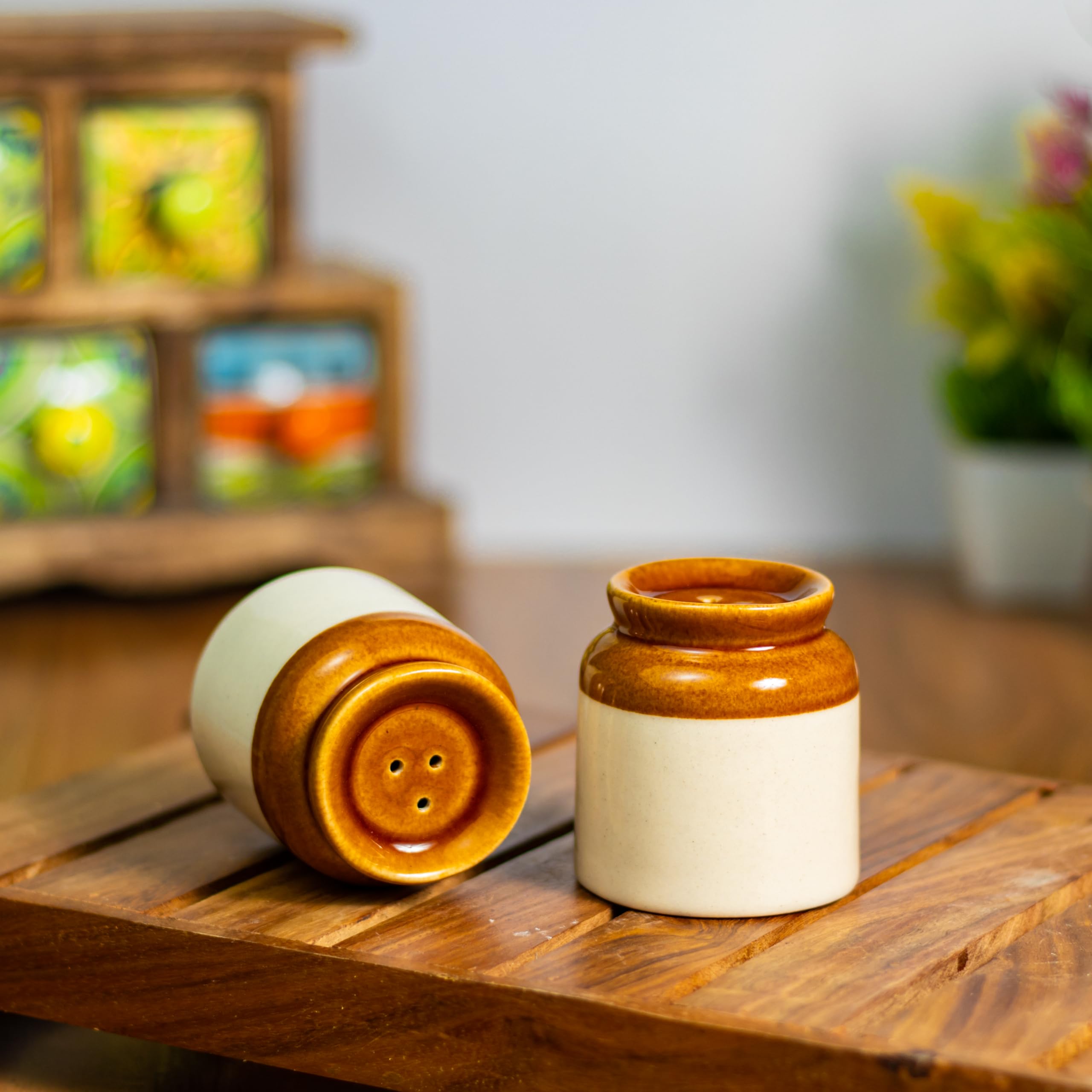 Buy Culture Craft Ceramic Salt and Pepper Dispenser | Sprinkler