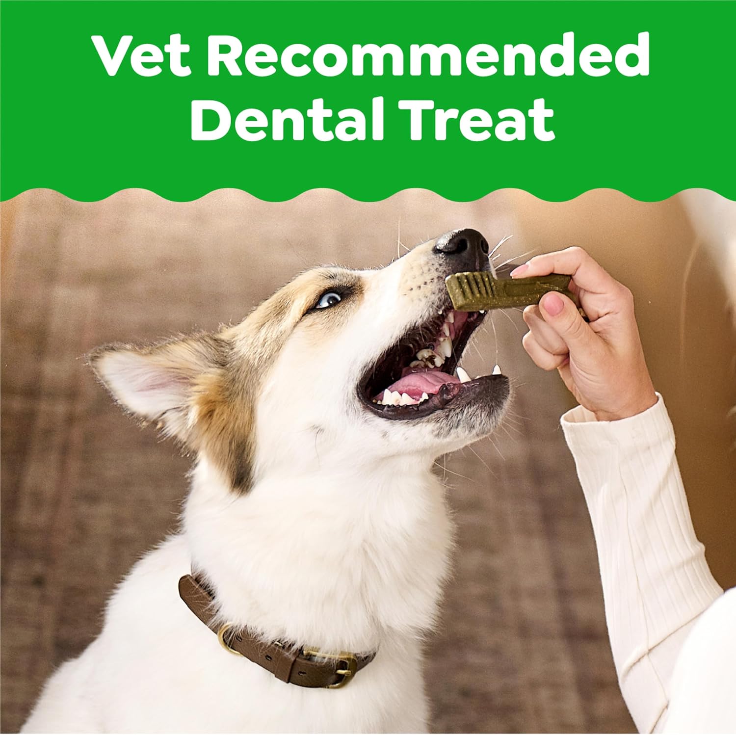 Greenies Veterinarian-Recommended Adult Natural Dental Dog Treats Petite Size, Original Flavor, 18 oz. Pack, 30 Count