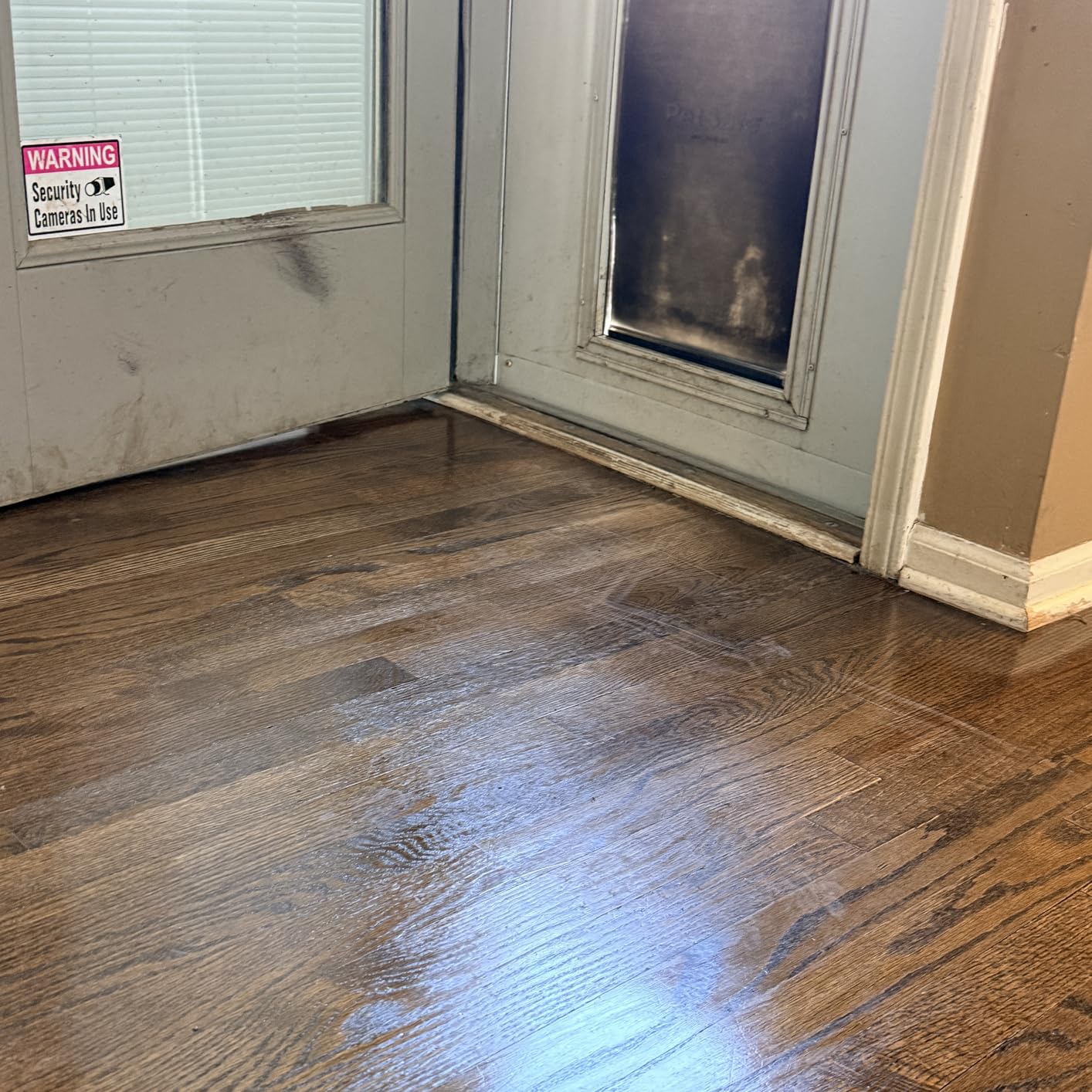 Floor during