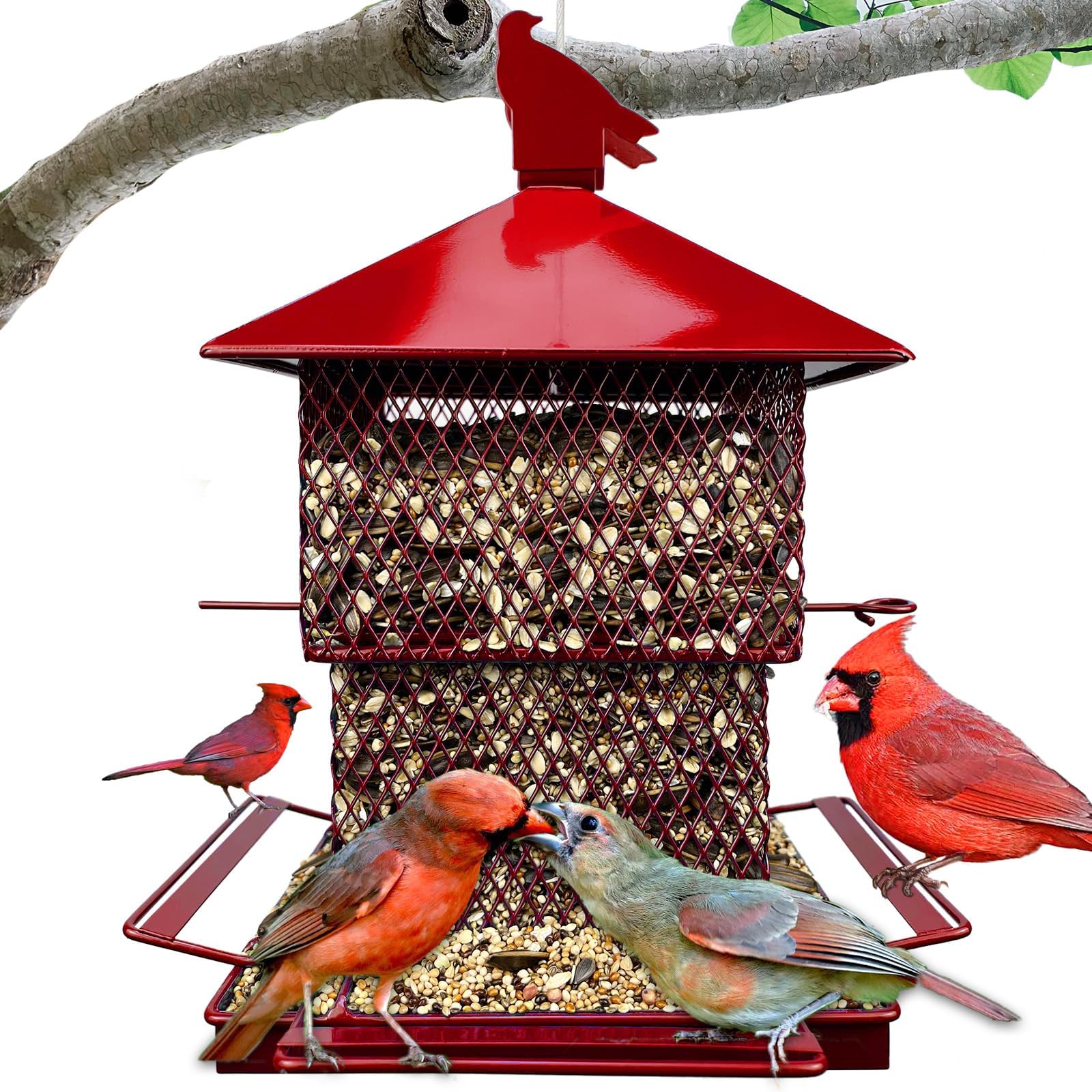Audubon Seeds 'n More Metal Hopper Bird Feeder Model 7452R