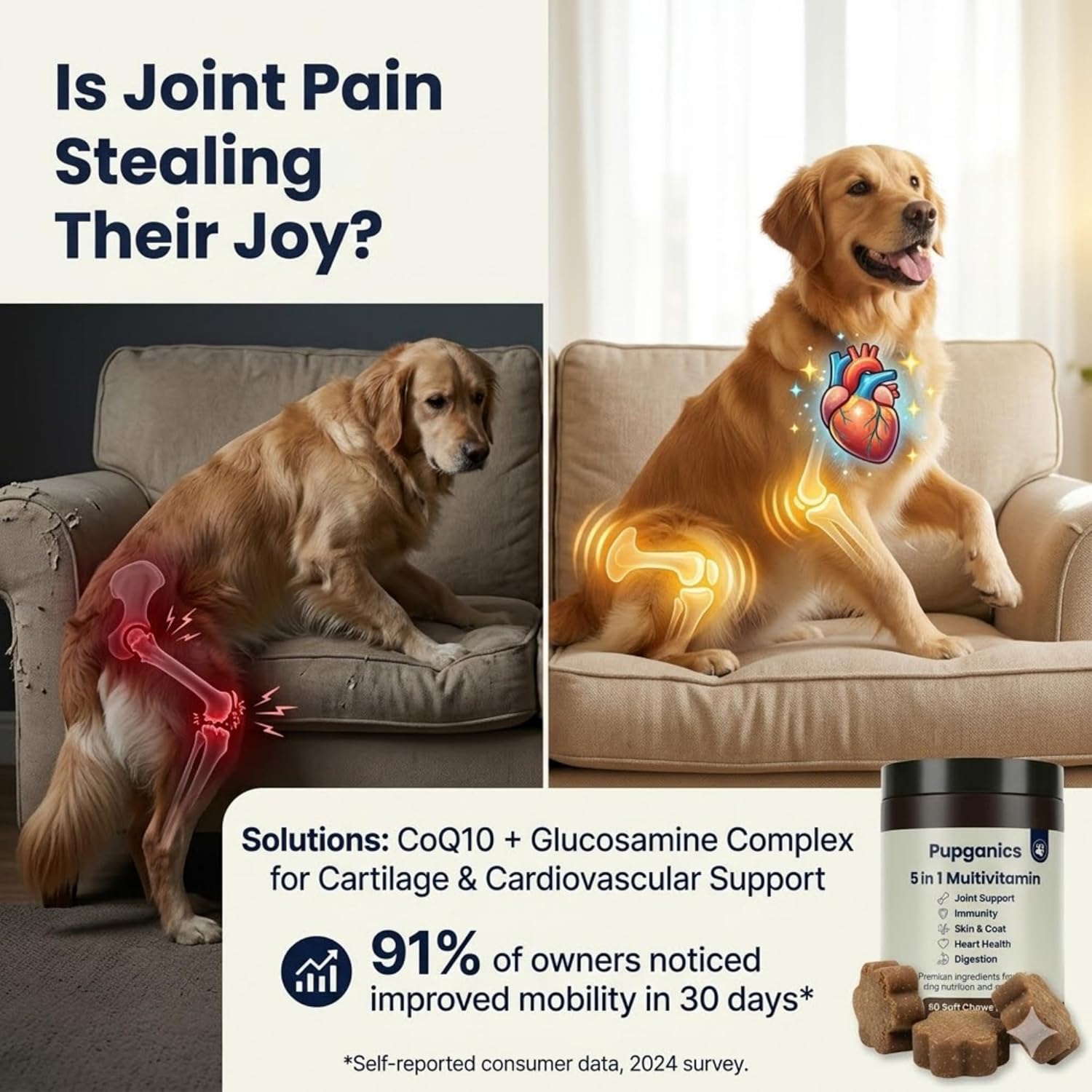 Pupganics Multivitamin Daily Soft Chews for Dogs, 5 in 1 multivitamin for Hip & Joint, Heart Health, Skin & Coat, Digestion & Immune Support, with Probiotics, Glucosamine, Vitamin A/D3/E (Beef)