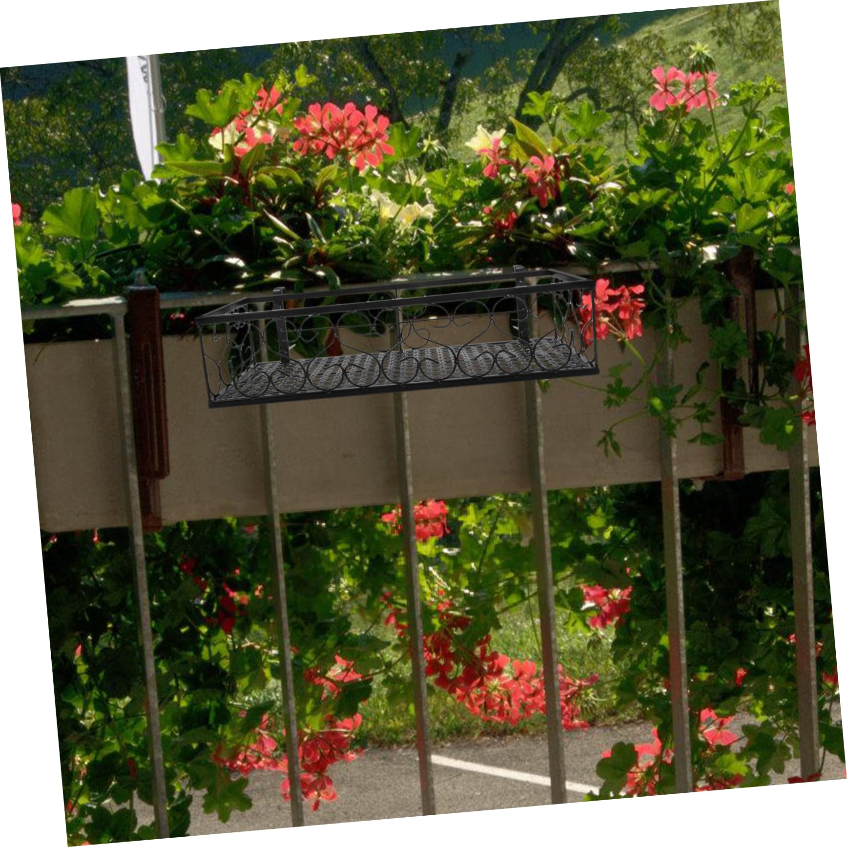 Hemobllo Balkon Hängeblumenständer Aus Eisen Robust Und Platzsparend Für Geländer Und Zäune Für Pflanzen Und Sukkulenten Für Zuhause Und Cafés Schwarz