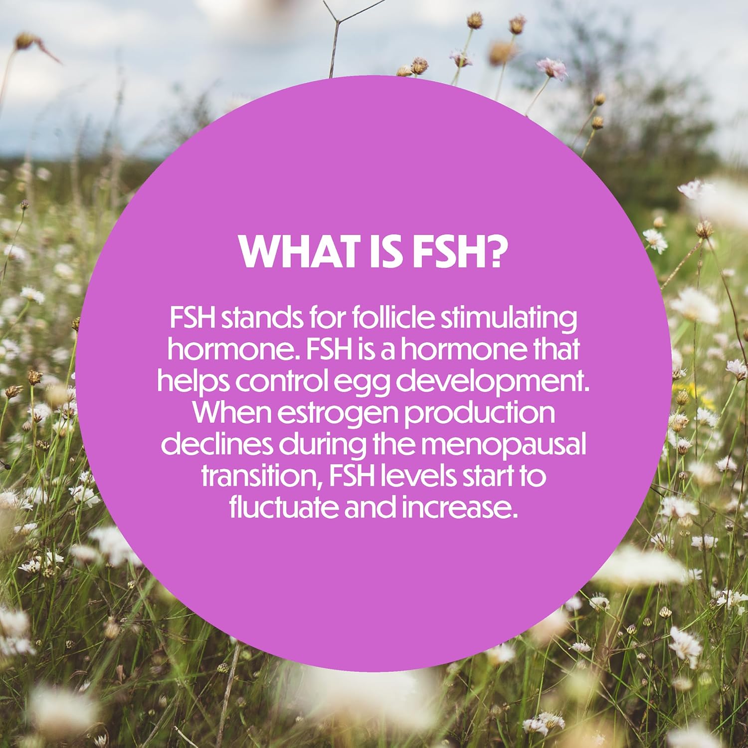 Estroven™ Menopause Stage Indicator – At-Home Test Kit for FSH Levels, 5 Tests