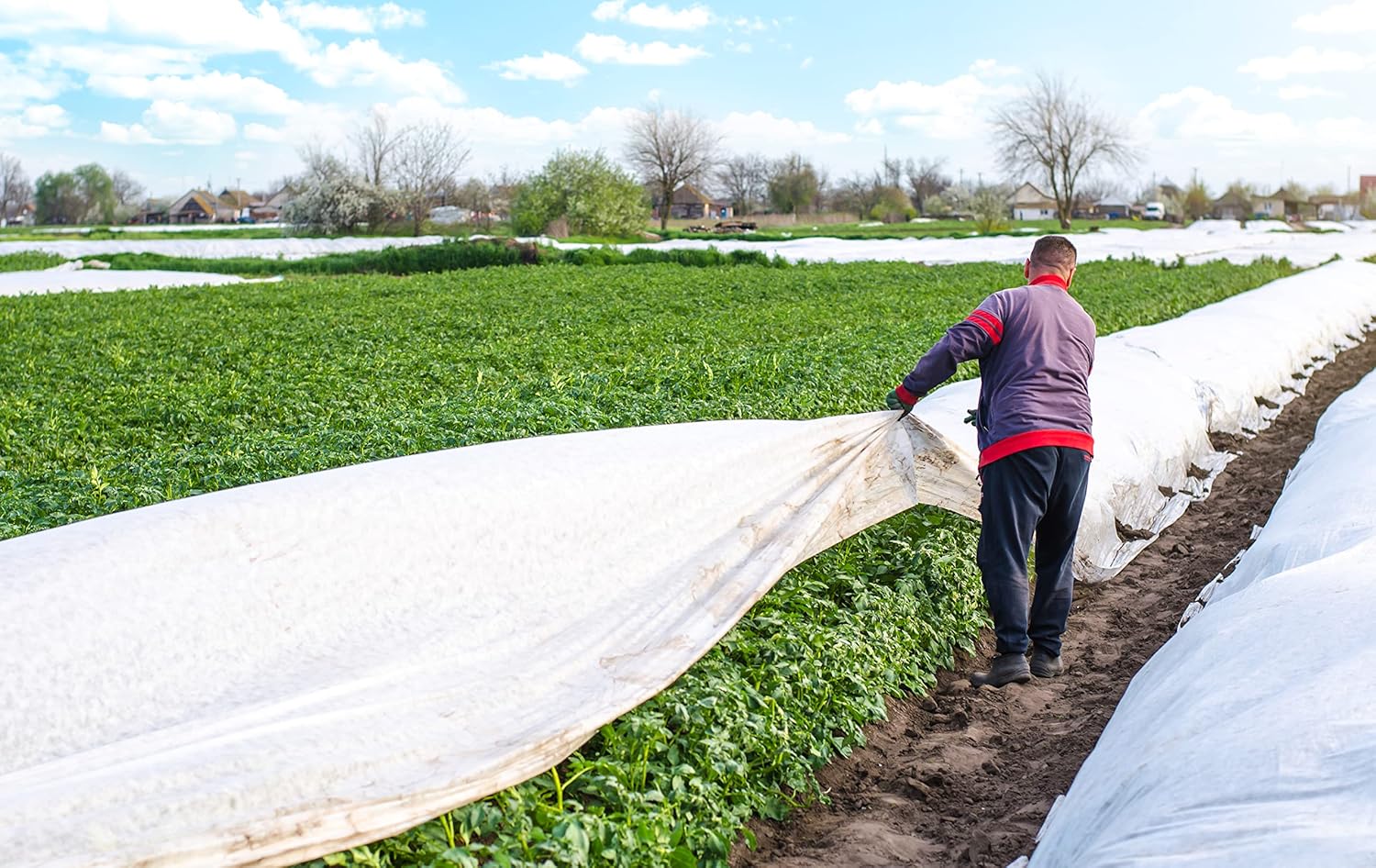 Agribon AG-15 (9'10'' x 250') Frost Protection Fabric - Protect Crops and Plants from Snow, Wind, Freezing, and UV Damage - Thin Floating Row Cover for Farms and Gardens