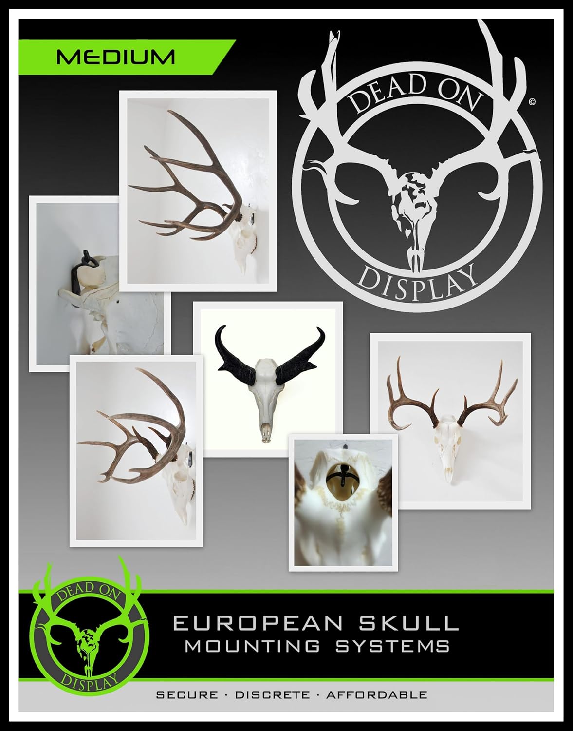 DEAD ON DISPLAY European Skull Hanger, Wall Mount for White Tail Deer, Mule Deer, Antelope, African Game, Bear, Exotics, Hog Taxidermy Trophy Mounting (Medium Skull Hanger)