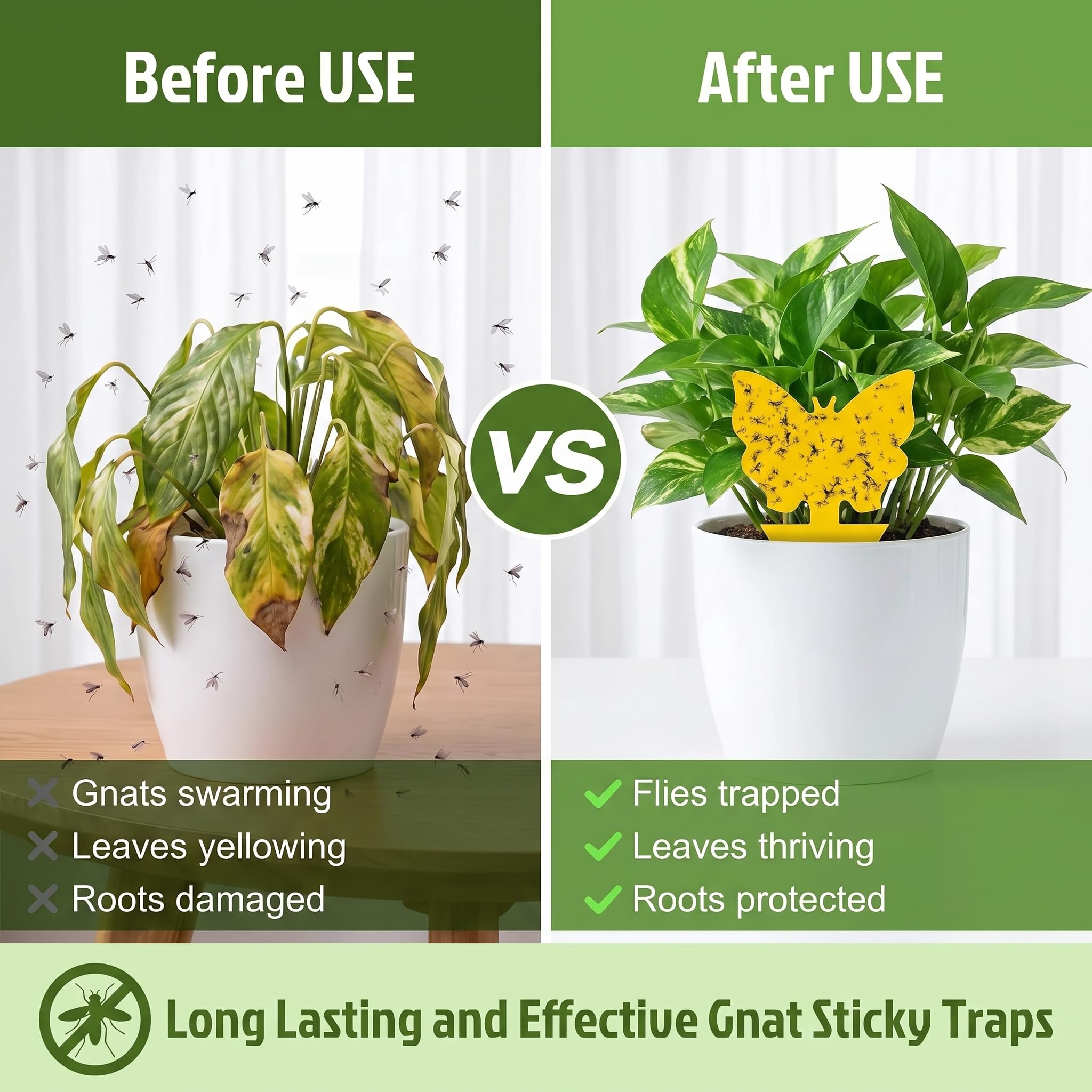 Dwcom 12 Stück klebrige Fruchtfliegen und Pilzmückenfalle gelb Sticky Bug Schädlinge Insektenvernichter für Indoor und Outdoor Zimmerpflanzen