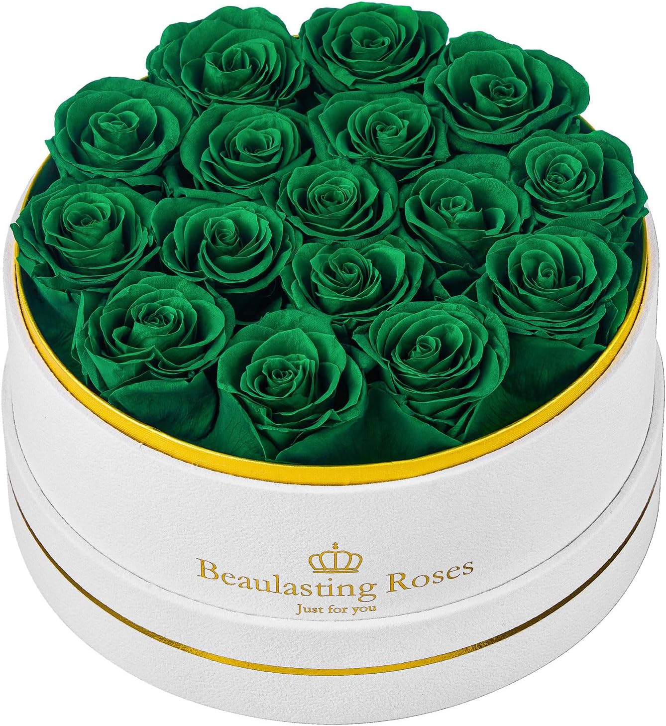 16 Preserved Roses Forever Flowers Real Roses in a Box Mother's Day Birthday Flowers for Her Mom Women Wife Valentine's Day, Green Roses