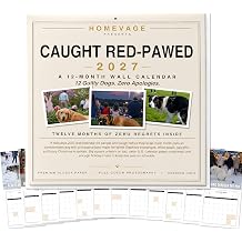 Funny Wall Calendar 2027, Gifts for Men, Women, White Elephant Gag Gift