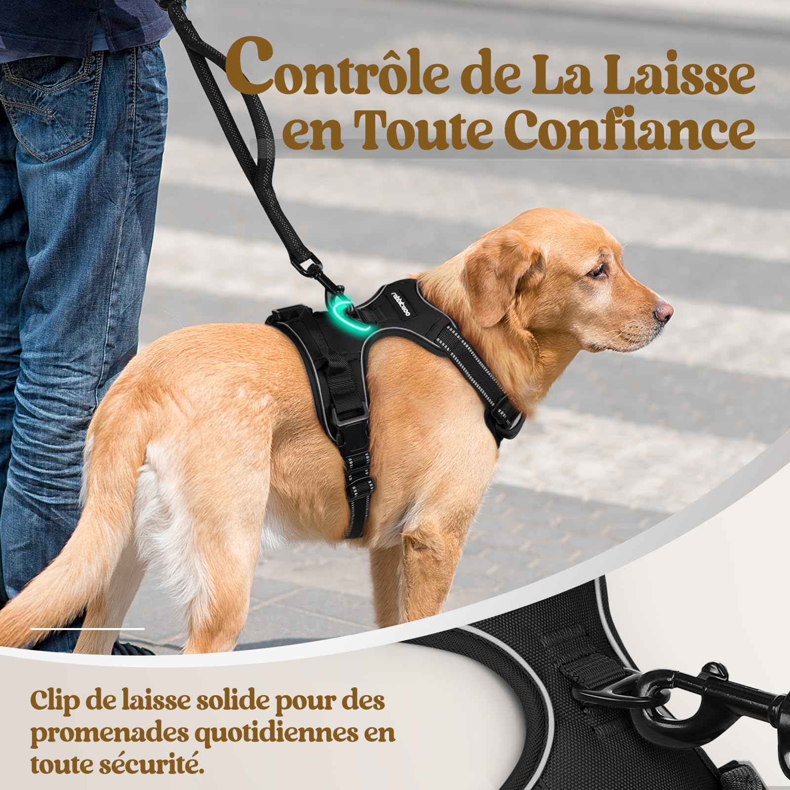 rabbitgoo Harnais Chien Anti Traction, Arnet pour Chiens avec Poignée Contrôl, Facile à Mettre, Gilet Réfléchissant Réglable avec Attache Devant, Harnais pour Chien Moyen Grand, Noir, L