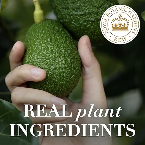 Miniatura 8 de Herbal Essences Champú sin sulfato de aceite de aguacate y argán, 13.5 onzas líquidas (paquete de 2)