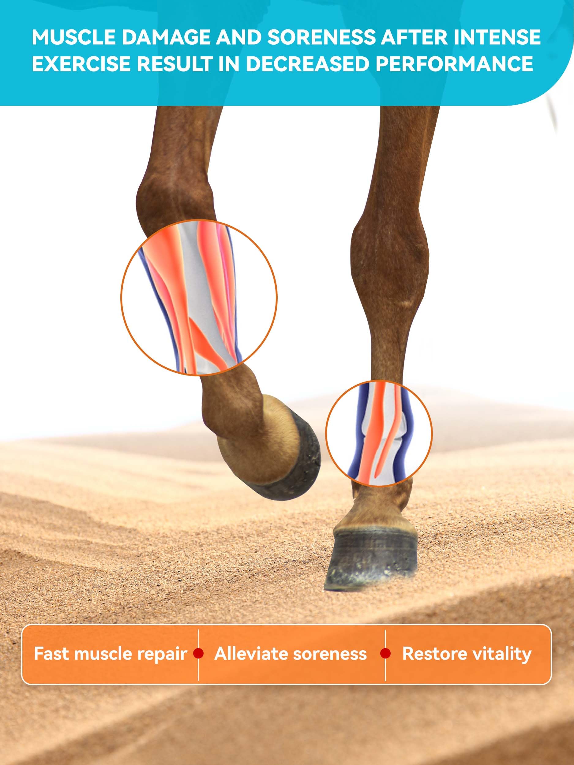 Natural Vitamin E & Selenium for Horses Muscle Build Support for Active Horses Equine Vitamin E Powder Supplement 100-Day Supply — Amazon image 5