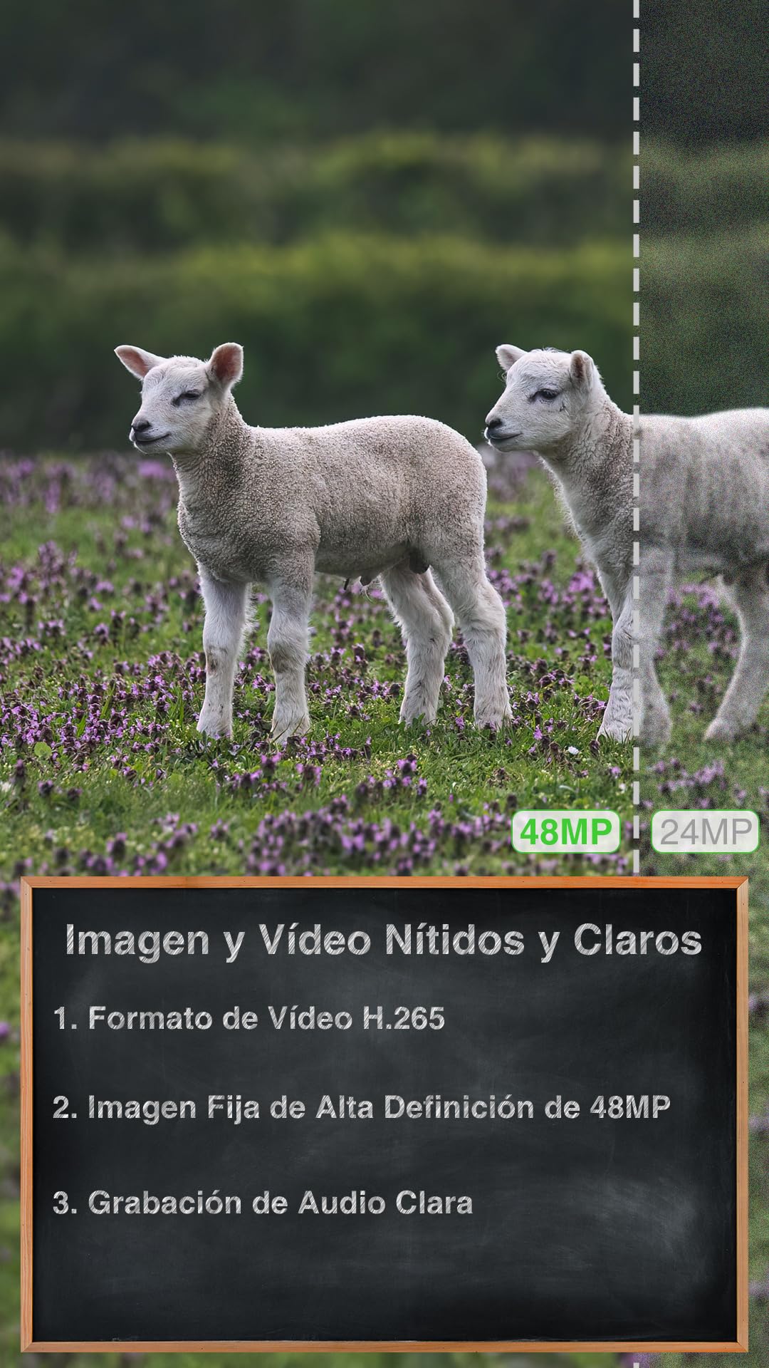 GardePro X50 Pro MAX Câmaras de Caça 4G LTE con Transmisión en Vivo, Recargable 8000mAh, Tarjeta SD Incorporada, 48MP 1296P, Camara Fototrampeo X50PLMB con Alcance de Visión Nocturna