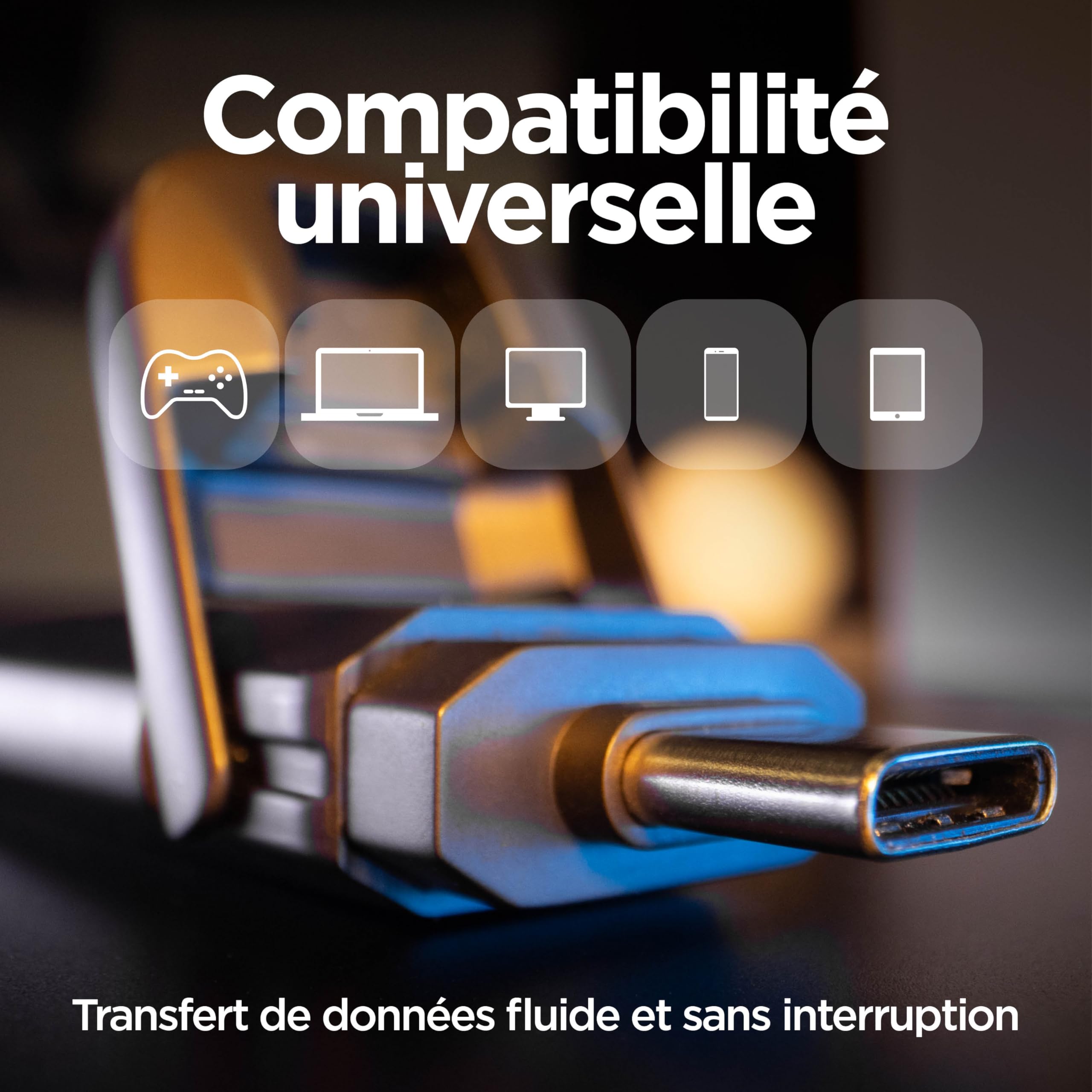Clé USB en métal Integral USSD 1 TB Turbo-C USB 3.2 Gen 2x2, SSD Portable Ultra-Rapide, Lecture Jusqu’à 2 000 MB/s et écriture Jusqu’à 1 800 MB/s - Design Durable en Alliage de Zinc