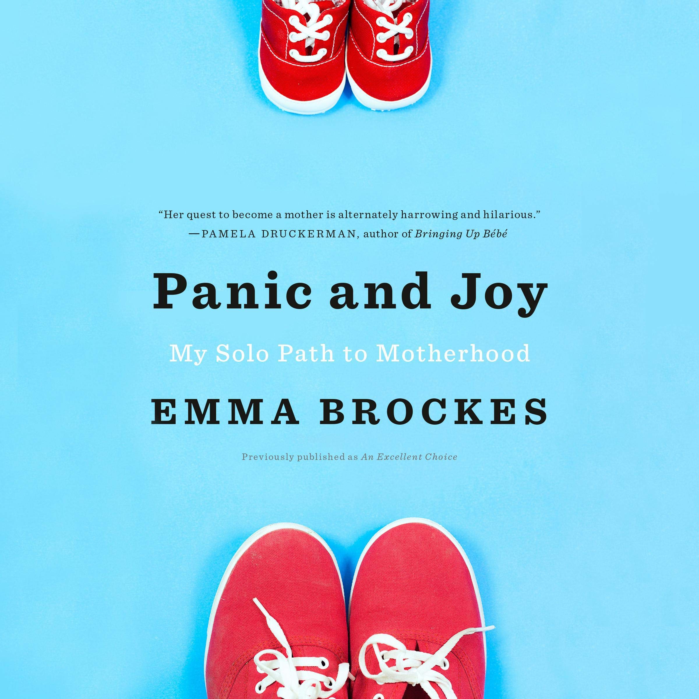 Cover art for Panic and Joy
